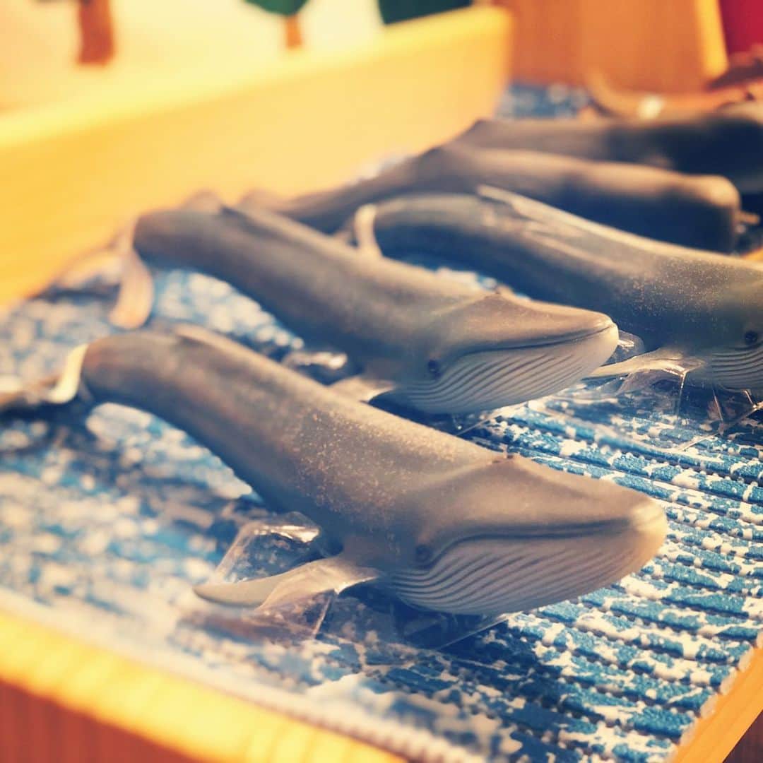 kidzoo+のインスタグラム：「【14696 シロナガスクジラ】  ドイツのシュライヒ社が制作した野生動物シリーズのシロナガスクジラ（くじら鯨Bluewhale）のフィギアです。  アフリカのジャングル、砂漠、草原や世界中の森林、海、そして南極などに生息する野生の動物たちを細部まで精巧に再現しています。  野生動物、牧場の動物、ペット、海洋動物、絶滅した先史時代の動物や恐竜まで幅広いラインナップが魅力のシュライヒフィギアは、すべて手作業で丁寧に彩色されています。  リアルな造形、豊かな表情が特徴のschleichフィギュアは、世界中のお子さまの夢と想像力を育みます。 ----------------------------------- 商品の詳細はプロフィールのURLからご覧いただけます！ ☛ @kidzooplus  #シュライヒ #schleich #kidzooplus #インテリア  #フィギュア #知育玩具 #クジラ #kids #名古屋市名東区 #名古屋 #贈り物 #プレゼント #ギフト #クリスマス #クリスマスプレゼント #クリスマス準備 #シロナガスクジラ #鯨　#海を感じるインテリア #海の生き物」