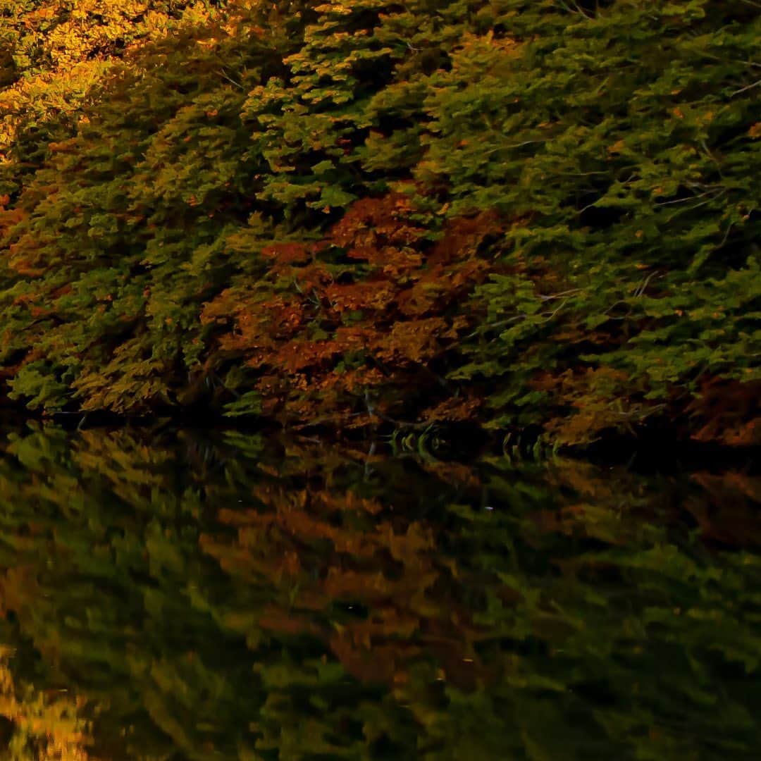 tomohiro koshikaのグルメインスタ