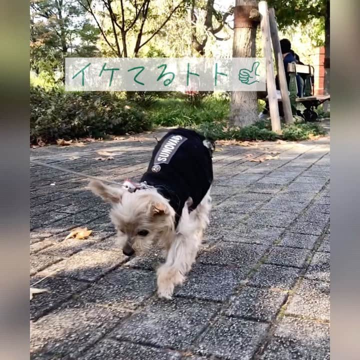 坂本陽子のインスタグラム