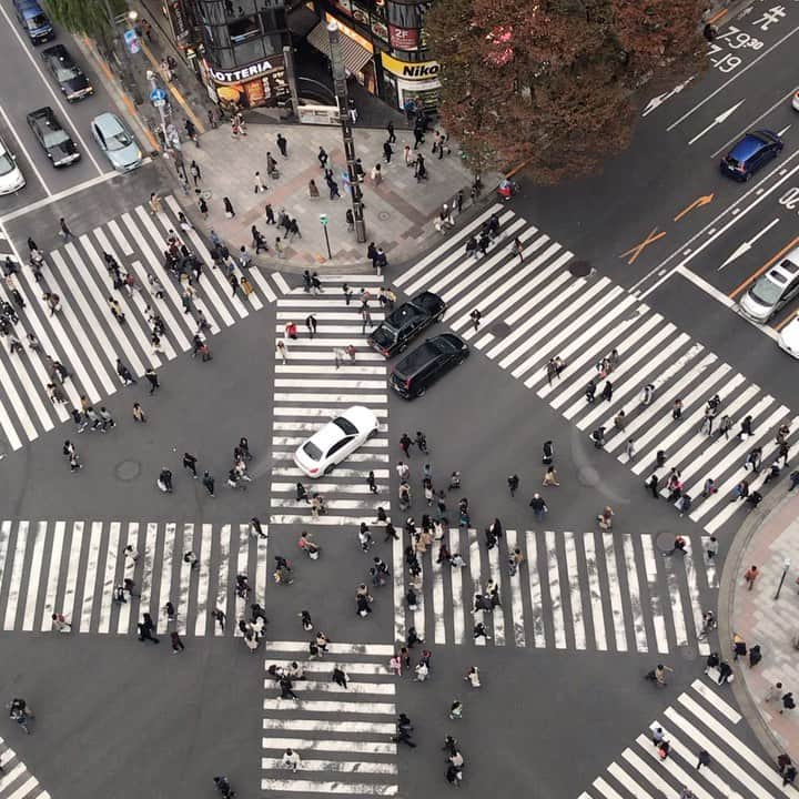 AURÉLIEのインスタグラム：「✨Tokyo life✨」