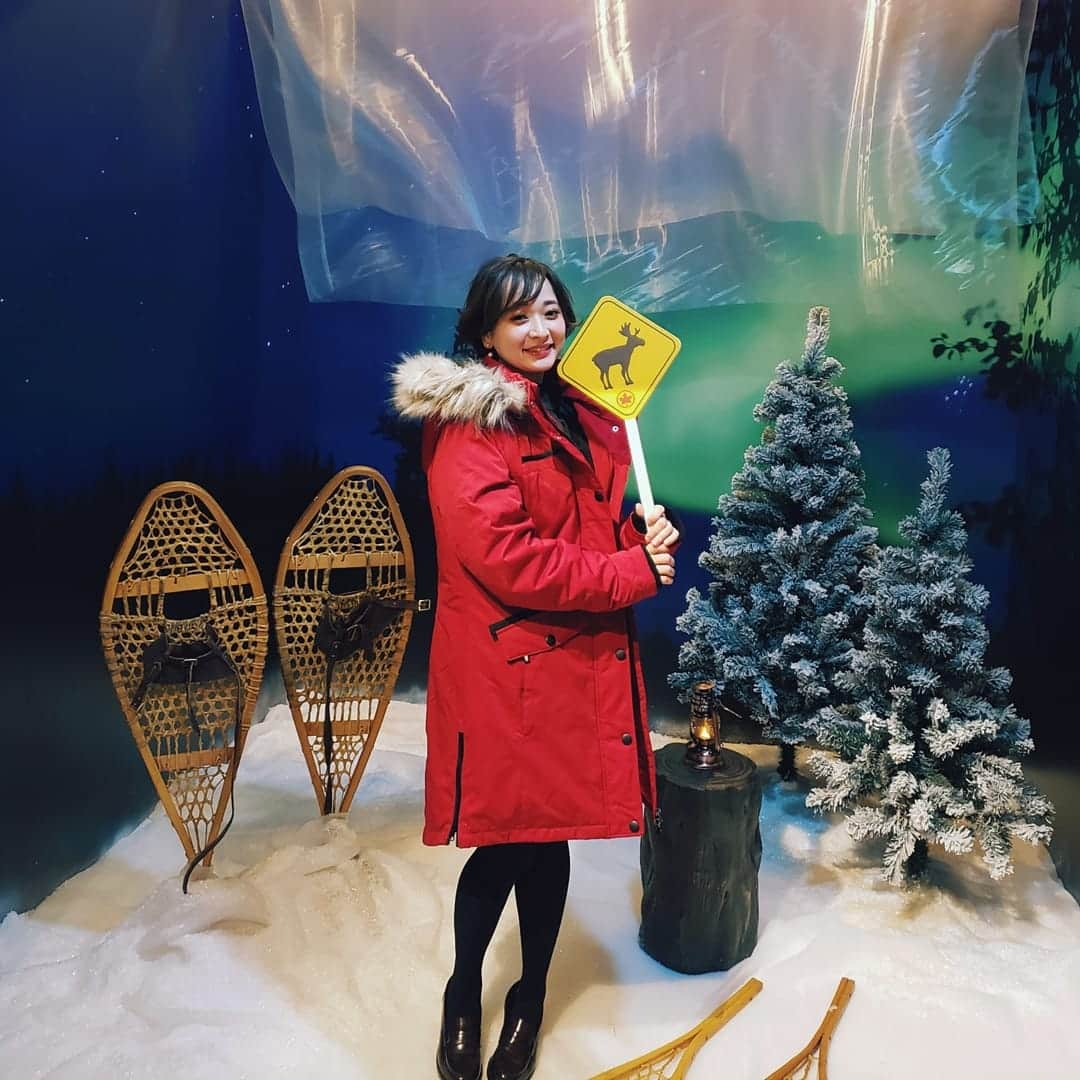 齊藤美沙貴さんのインスタグラム写真 - (齊藤美沙貴Instagram)「PTINEAIRE BY AIR CANADA プレオープンイベントに行ってきました！ #PR です ぜひ詳細まで見てください☺️ ㅤㅤㅤㅤㅤㅤㅤㅤㅤㅤㅤㅤㅤ エアカナダの、渡航先10箇所を イメージしたオリジナルプーティンを 戴いてきました😋❤️ ㅤㅤㅤㅤㅤㅤㅤㅤㅤㅤㅤㅤㅤ ⭐イベント詳細です⭐ ㅤㅤㅤㅤㅤㅤㅤㅤㅤㅤㅤㅤㅤ ・期間：11月29日（金）～12月7日（金） ・場所：六本木ヒルズ　ヒルズカフェ/スペース ・内容：カナダのソウルフード「プーティン」を味わいながら、ペア航空券が当たる # タグキャンペーンにも参加できるイベント！ ㅤㅤㅤㅤㅤㅤㅤㅤㅤㅤㅤㅤㅤ 期間中に来店し、指定の # で 投稿した方から抽選で毎日1組にペア航空券があたります ㅤㅤㅤㅤㅤㅤㅤㅤㅤㅤㅤㅤㅤ ⭐指定タグ⭐ #エアカナダ #プーティン　 #（フォトブースで紹介している3都市でご自身が行きたいと思った場所）  わたしは、#YELLOWKNIFE ! ぜひ訪れて素敵なオーロラを見てみたいと思いました！ ペルー 🇵🇪 LIMA アメリカ 🇺🇸 LAS VEGAS は 過去にもいったことがあって、このイベントに参加して そのときの旅行の思い出が浮かび上がってきたくらい 楽しいイベントでした 😳❤️ ㅤㅤㅤㅤㅤㅤㅤㅤㅤㅤㅤㅤㅤ なので、わたしのおすすめのプーティンは LIMA と LAS VEGASのプーティンです☺️！ 試してみてください～❤️❤️」11月28日 21時48分 - misya_kids