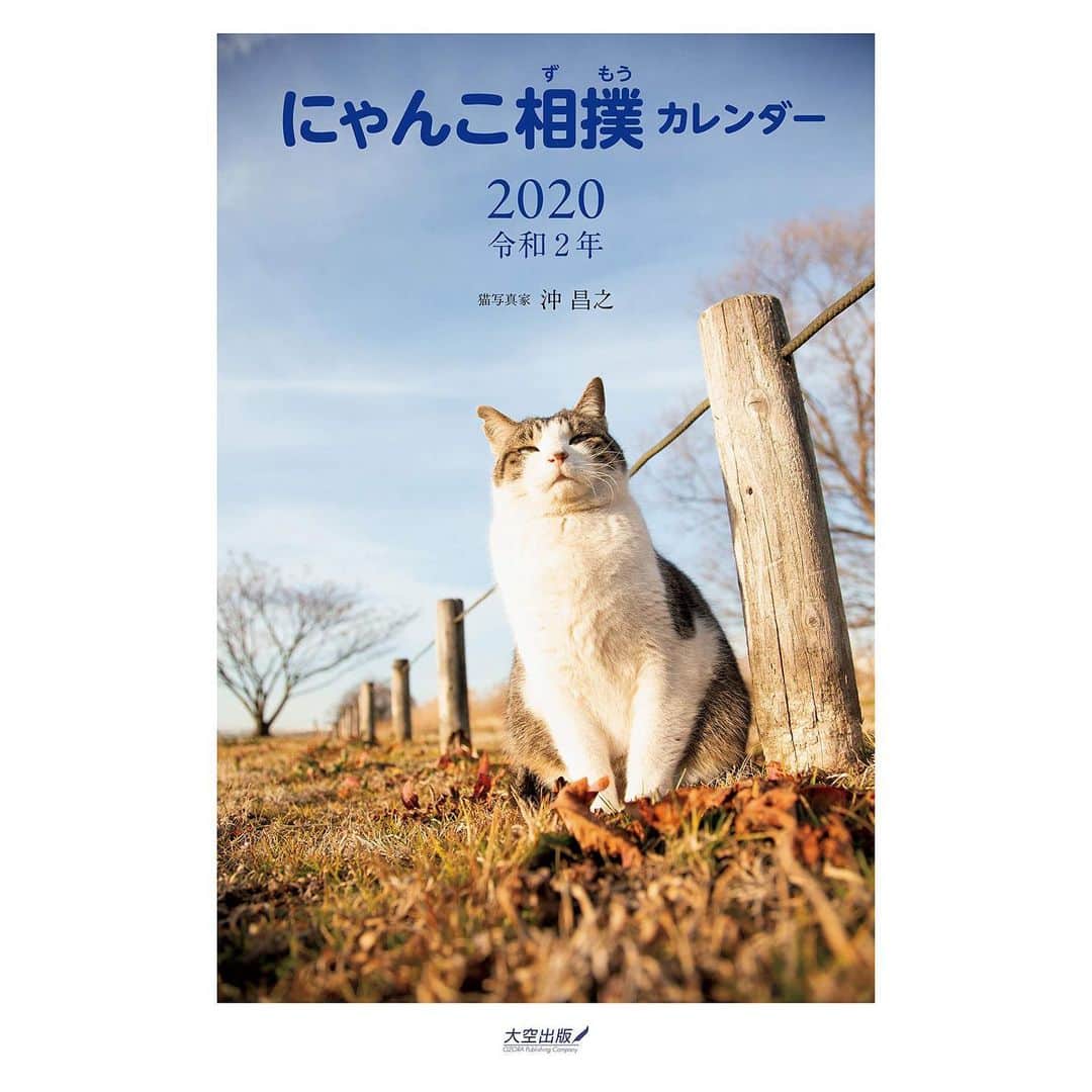 Masayukiさんのインスタグラム写真 - (MasayukiInstagram)「2020年のカレンダー 7種類発売予定です。 プロフィールのURLをクリックすると amazonの著書一覧ページにジャンプしますのでご覧くださいませ。 🐈必死すぎるネコ 壁掛けカレンダー2020 ￥1,320  サイズ: 25.5cm ×25.5cm 🐈よりそい猫 壁掛けカレンダー2020 ￥1,540  サイズ:25.7cm×36.4cm 　B4 🐈【Amazon.co.jp限定】そとねこ 壁掛けカレンダー2020  特典：スマホ用壁紙画像-そとねこ　データ配信 ￥1,100  サイズ: 30cm×38cm 🐈にゃんこ相撲 壁掛けカレンダー2020 ￥1,320  サイズ:52cm×38cm 🐈にゃんこ相撲 卓上カレンダー2020 ￥770  サイズ: 17cm× 13.4cm 🐈黒猫 壁掛けカレンダー2020 ￥1,430 サイズ:39cm×30cm 🐈幸せを招くハチワレ猫 壁掛けカレンダー2020 ￥1,320  サイズ:35.2cm×29.8cm」11月28日 21時50分 - okirakuoki