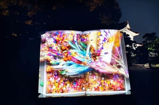ハンナミさんのインスタグラム写真 - (ハンナミInstagram)「すこし前だけど. .🧡 先月、京都の元離宮二条城で﻿ プロジェクションマッピングの﻿ 撮影したときのデータを﻿いただいたので 🙊✨ ﻿ 12/8まで開催中です♡﻿ ちょうど紅葉も見頃なのかな？☺️﻿ ﻿ #flowernaked#nakedinc #교토#二条城」11月28日 21時54分 - han_nami_