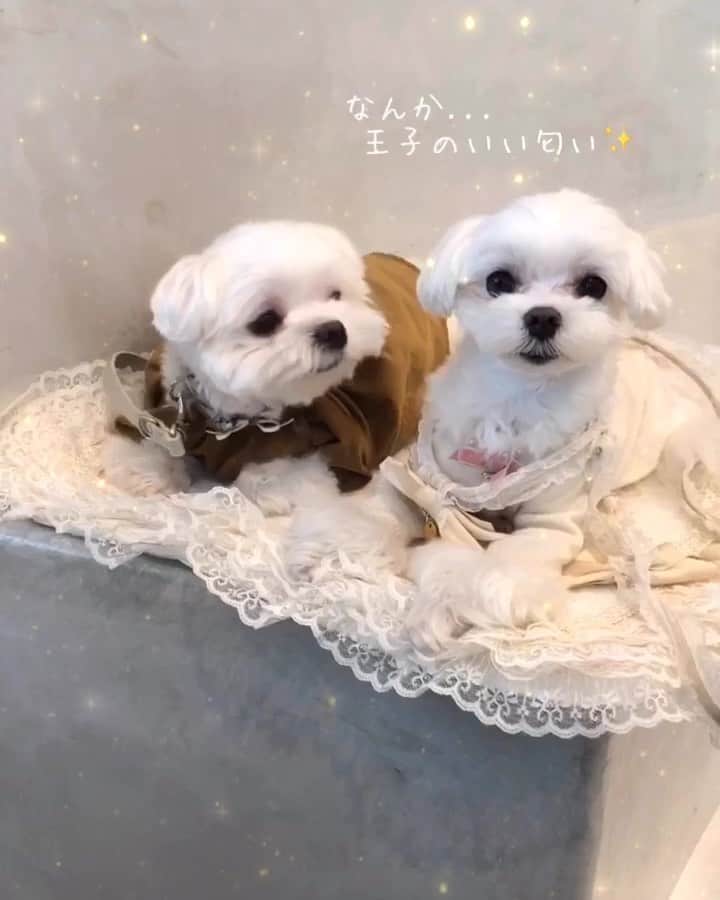 おかゆ & おもちのグルメインスタ