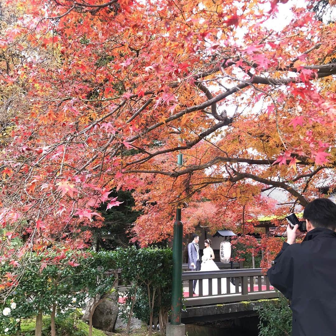 五十嵐邸ウエディングさんのインスタグラム写真 - (五十嵐邸ウエディングInstagram)「11月の花嫁様の前撮り。 当日は、五十嵐邸結にて素敵な結婚式でした。  お幸せに✨ 日本の伝統美がより心に残る想い出とともに彩ります✨🎀 #五十嵐邸ガーデン  #邸宅ウェディング #古民家ウェディング  #五十嵐邸ウエディング # 和婚#和装ウェディング  #大人ウェディング #おしゃれ花嫁  #新潟ウェディング #新潟花嫁 #新潟プレ花嫁 #プレ花嫁 #卒花嫁 #卒花  #結婚式 #結婚式準備 #花嫁準備 #ブライダルフォト #ウエディングフォト  #2019夏婚 #2019秋婚 #2019冬婚 #婚約 #小さなウェディング  #花嫁さんと繋がりたい #日本中のプレ花嫁さんと繋がりたい #sakuramanagement事務所」11月28日 22時49分 - ikarashitei.wedding