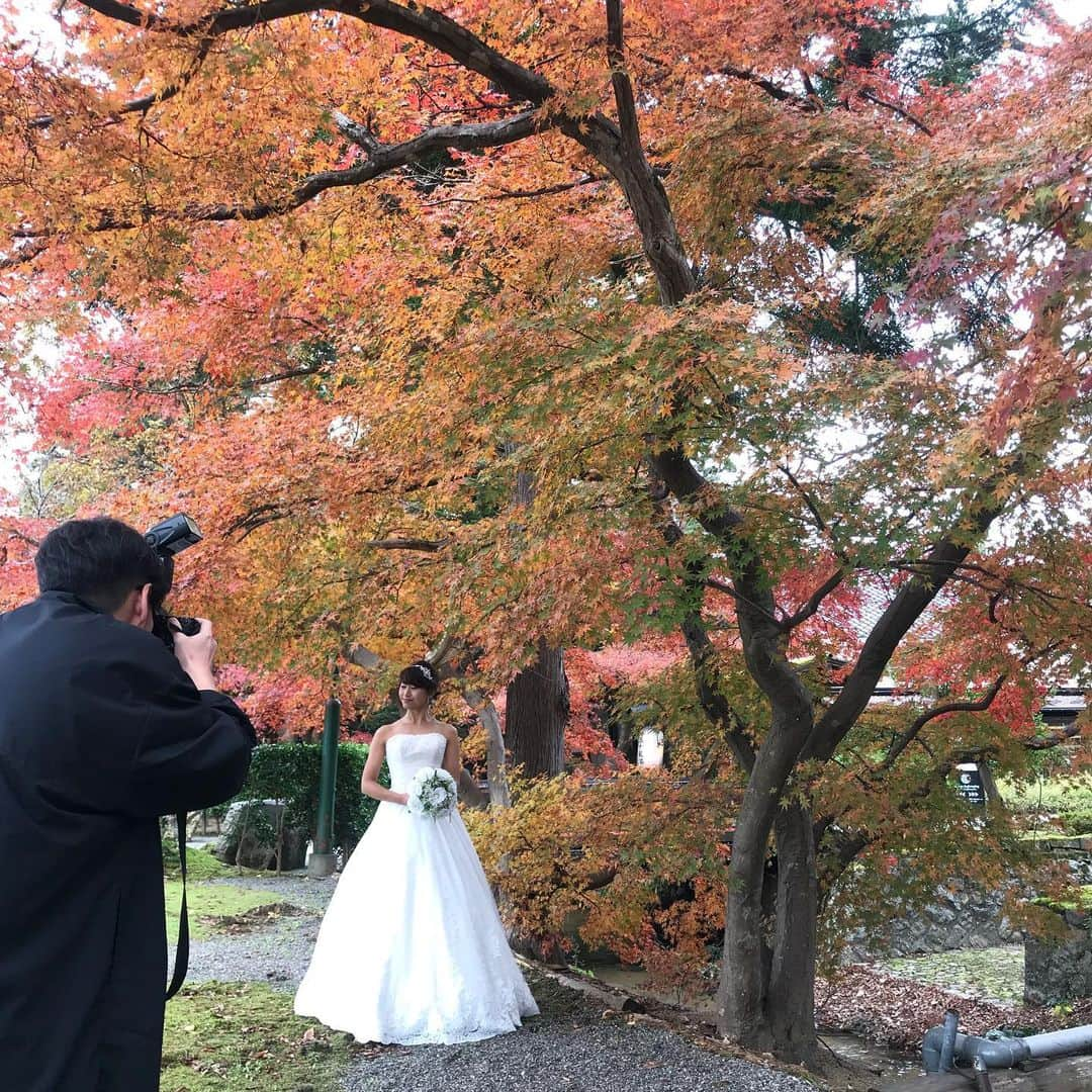 五十嵐邸ウエディングのインスタグラム：「11月の花嫁様の前撮り。 当日は、五十嵐邸結にて素敵な結婚式でした。  お幸せに✨ 日本の伝統美がより心に残る想い出とともに彩ります✨🎀 #五十嵐邸ガーデン  #邸宅ウェディング #古民家ウェディング  #五十嵐邸ウエディング # 和婚#和装ウェディング  #大人ウェディング #おしゃれ花嫁  #新潟ウェディング #新潟花嫁 #新潟プレ花嫁 #プレ花嫁 #卒花嫁 #卒花  #結婚式 #結婚式準備 #花嫁準備 #ブライダルフォト #ウエディングフォト  #2019夏婚 #2019秋婚 #2019冬婚 #婚約 #小さなウェディング  #花嫁さんと繋がりたい #日本中のプレ花嫁さんと繋がりたい #sakuramanagement事務所」