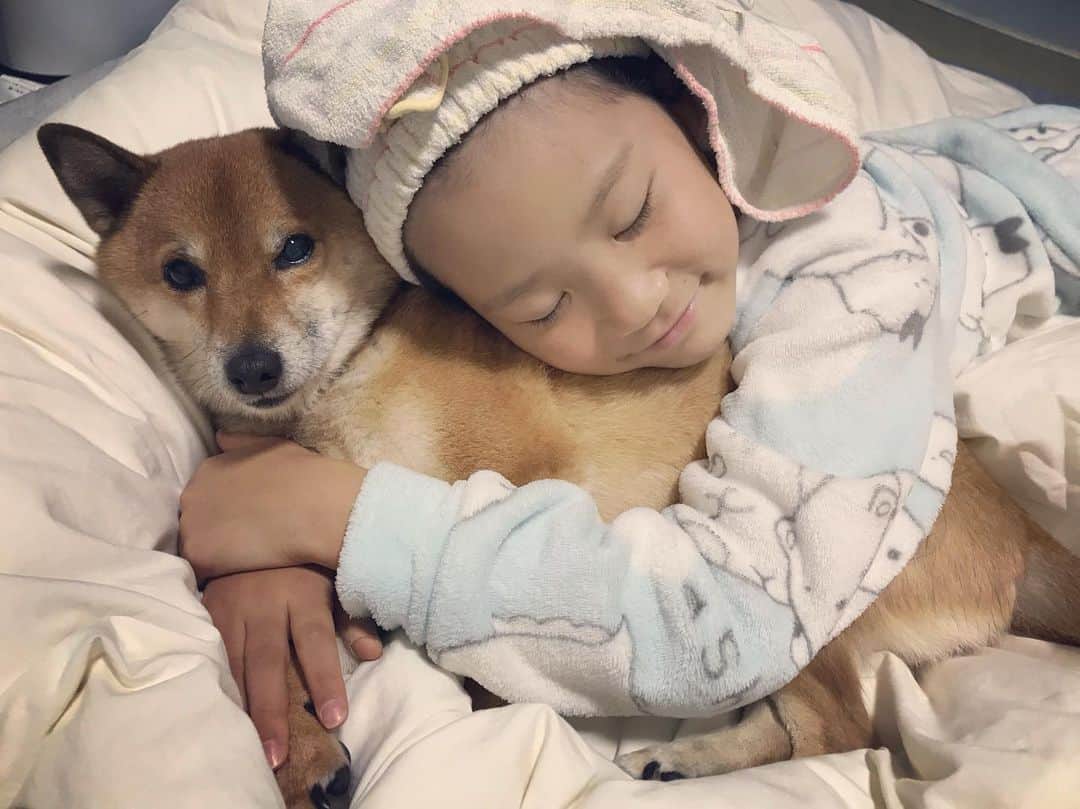 柴犬はなこ Shibainu Hanakoさんのインスタグラム写真 - (柴犬はなこ Shibainu HanakoInstagram)「Love together.😌🌃🐶🍀👧🏻💕✨ #shiba #dog #shibainu #kid #犬 #柴犬 #犬とこども」11月28日 23時16分 - kiki_beee