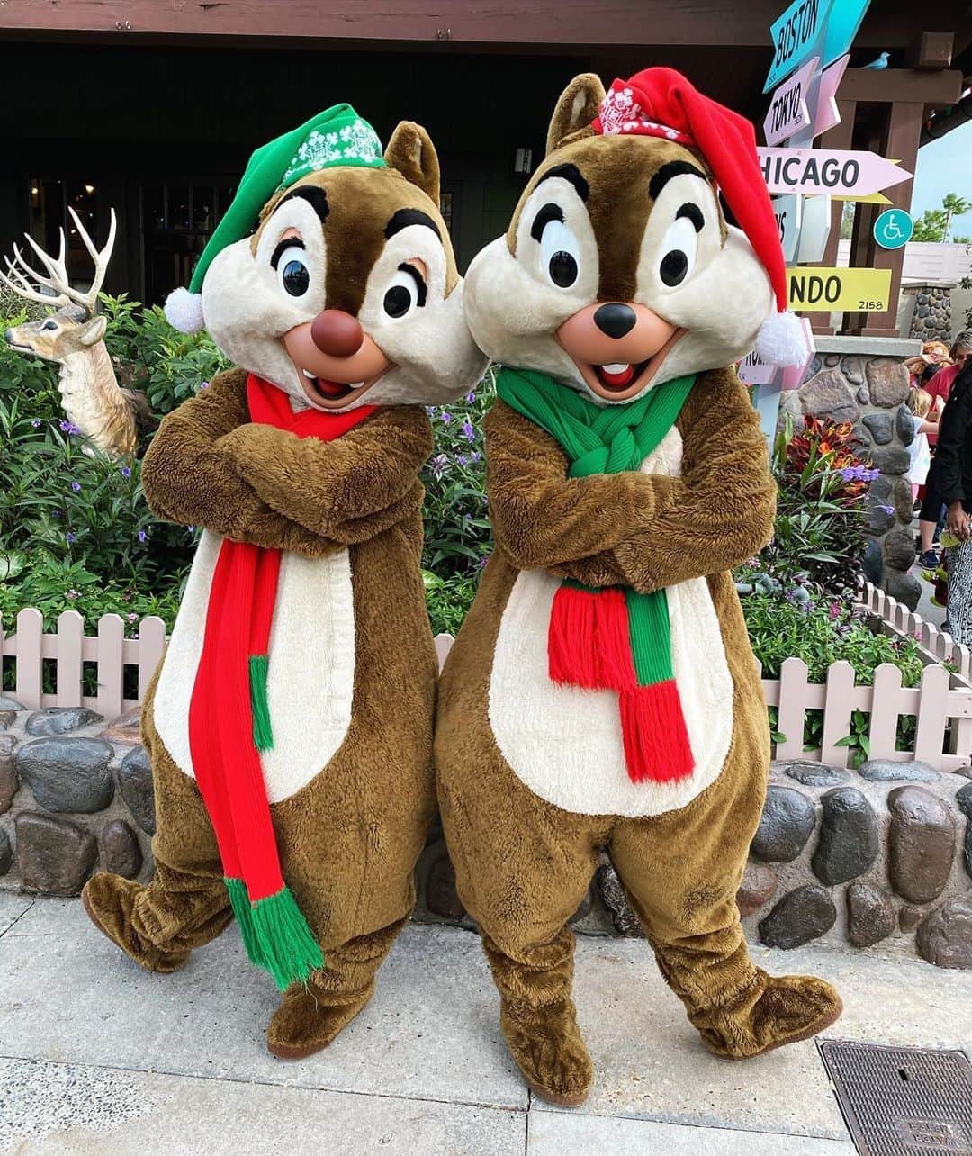 Walt Disney Worldのインスタグラム：「There's nothing better than spending time with those you love during the holidays. Tag someone you're thankful for below! 👇❤ #DisneysHollywoodStudios #WaltDisneyWorld (📷: @charactercentral)」