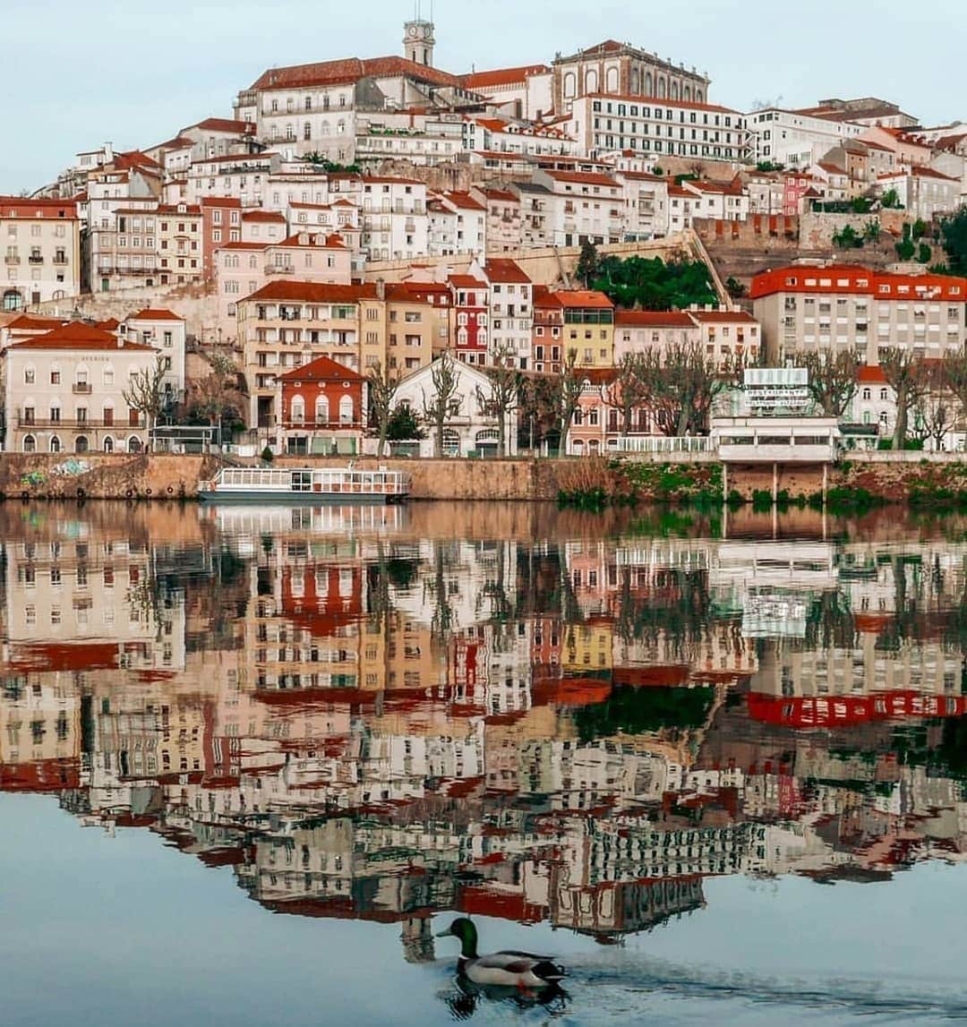 Instagramersさんのインスタグラム写真 - (InstagramersInstagram)「Great urban reflection at this photo by @maria_bonizza at @igersportugal 😍📸🙌💖 #igersportugal #portugaldenorteasul #igers」11月29日 5時00分 - igers