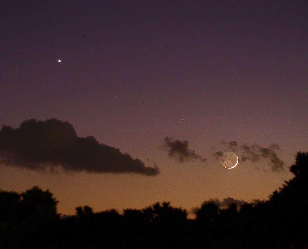 Sora Momoさんのインスタグラム写真 - (Sora MomoInstagram)「今日の金星と木星と細い月🌙 ☺︎ 夕散歩に行ったら金星と木星と細い月が一直線に並んでとっても綺麗でした✨ 夕暮れの低い空に細いけど大きな🌙が浮かんでいて幻想的な空に思わず見惚れてしまいました ☺︎ 帰宅してすぐなんとか沈む直前の月🌙が撮れました 本物はもっと綺麗だったのに 残念な写真だけど少しでも伝わるといいなぁ ☺︎ #細い月#金星と木星と月#金星と木星と月大接近 #幻想的な空#夕暮れの空#そらももの空」11月28日 23時39分 - teratera_sorapu_