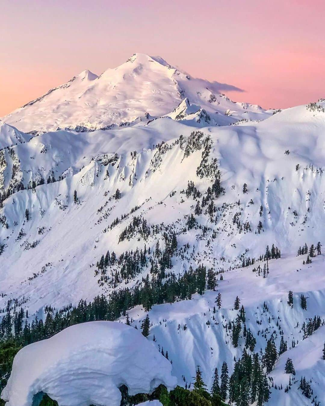 REIさんのインスタグラム写真 - (REIInstagram)「It's the season for sharing our gratitude for friends, family and the lands that we are committed to protecting.  Photo: @spirithiker in Mt. Baker Wilderness, #Washington. #OptOutside」11月29日 0時23分 - rei