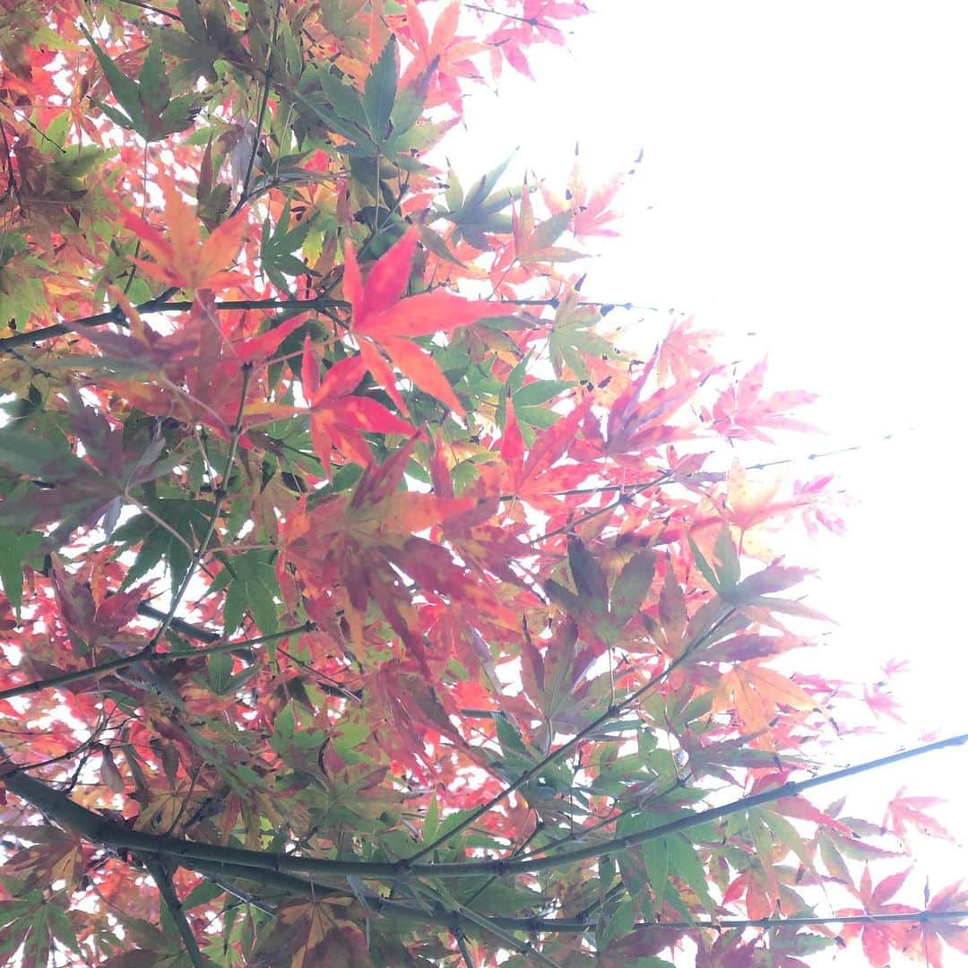 石川由香里のグルメインスタ