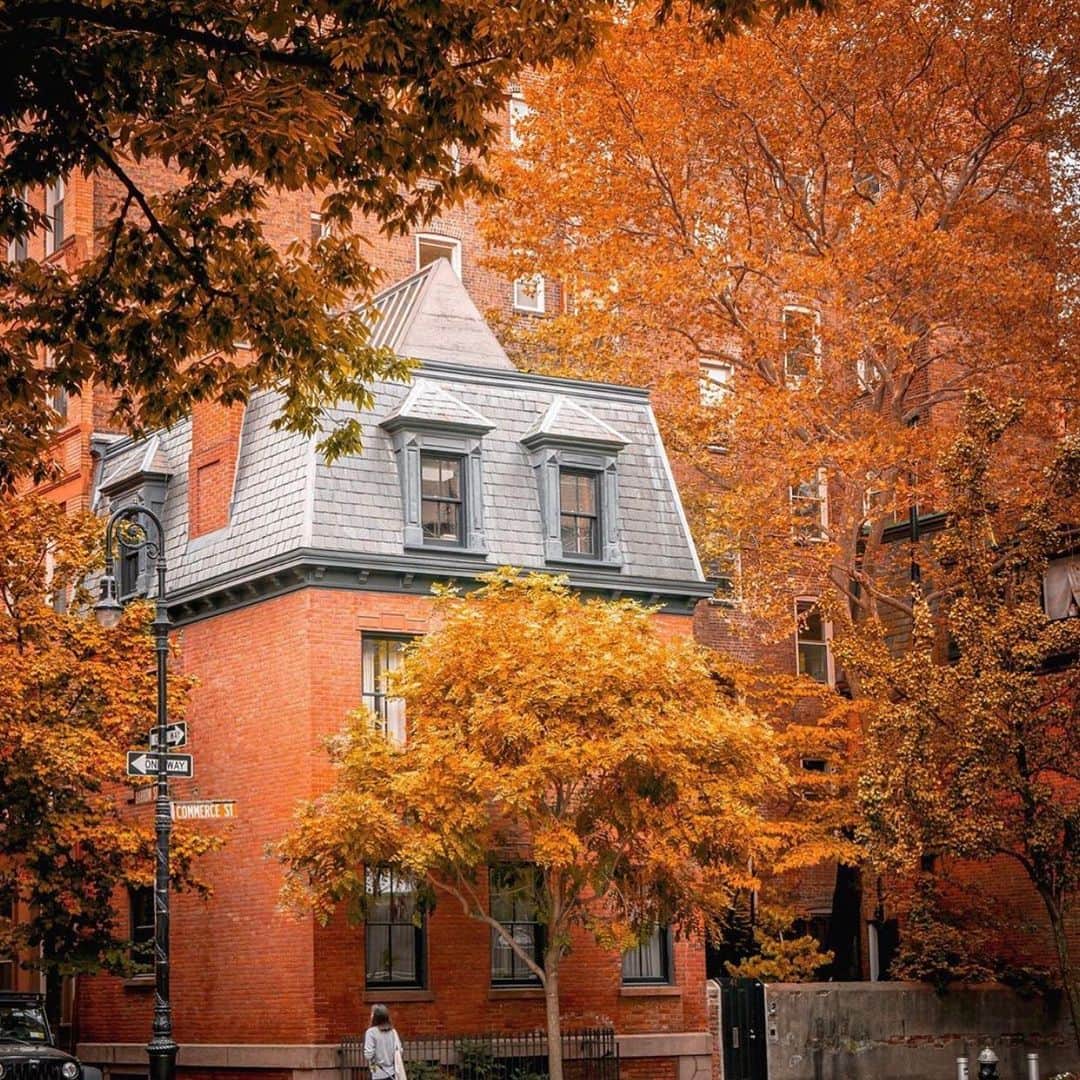 ボンド・ナンバーナインさんのインスタグラム写真 - (ボンド・ナンバーナインInstagram)「Happy Thanksgiving from all of us at Bond No. 9! Fall foliage in Greenwich Village captured by @212sid  #bondno9 #bondno9ny #newyork #newyorkcity #nyc #fall #autumn #thanksgiving #fragrance #perfume #love」11月29日 1時36分 - bondno9ny