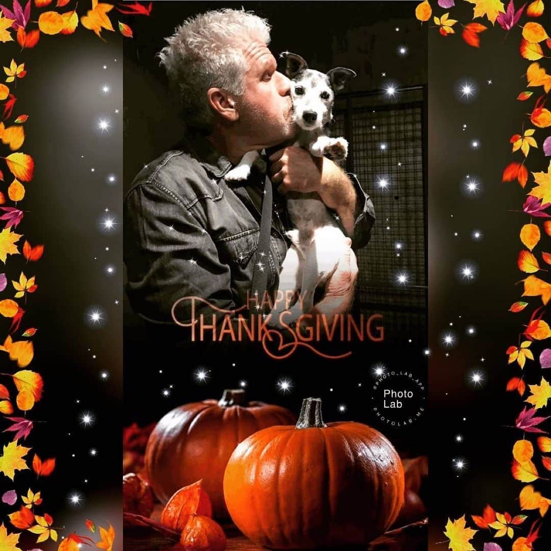 ロン・パールマンさんのインスタグラム写真 - (ロン・パールマンInstagram)「...to all you turkeys and turkeyettes!!!」11月29日 1時42分 - perlmutations