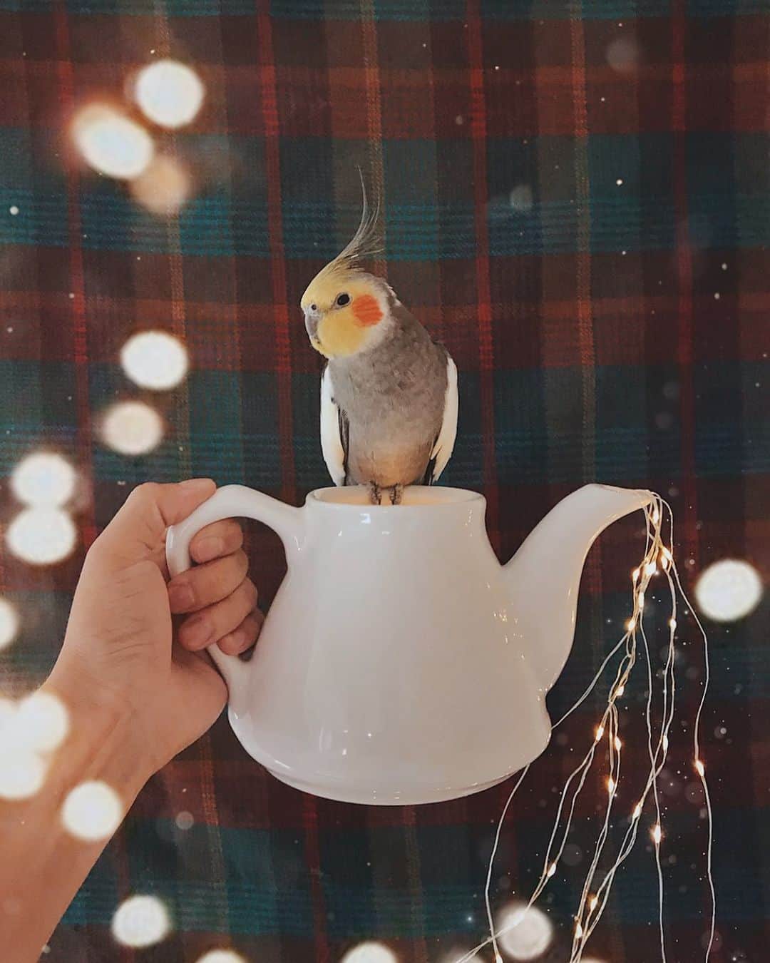Jackのインスタグラム