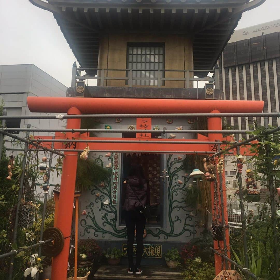 大塚莉奈のインスタグラム：「花やしきに神社があったとは🤭  #花やしき #ブラ坊神社  #浅草 #日本最古の遊園地 #珍スポット #開運スポット #instagood」