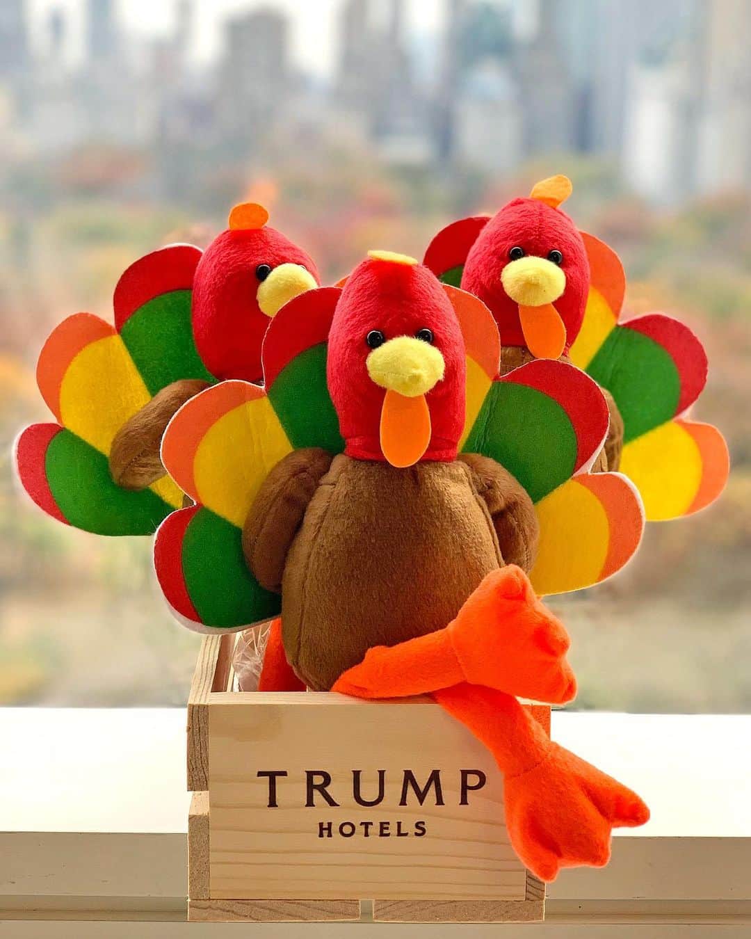 トランプ・ホテルさんのインスタグラム写真 - (トランプ・ホテルInstagram)「From our @TrumpHotels family to yours, Happy Thanksgiving!」11月29日 3時01分 - trumphotels
