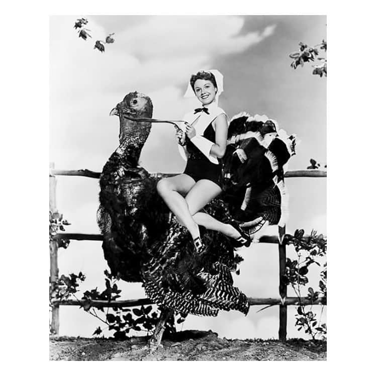 ゾージア・マメットさんのインスタグラム写真 - (ゾージア・マメットInstagram)「Happy Thanksgiving. Gobble till you wobble y’all. 💛」11月29日 3時08分 - zosiamamet