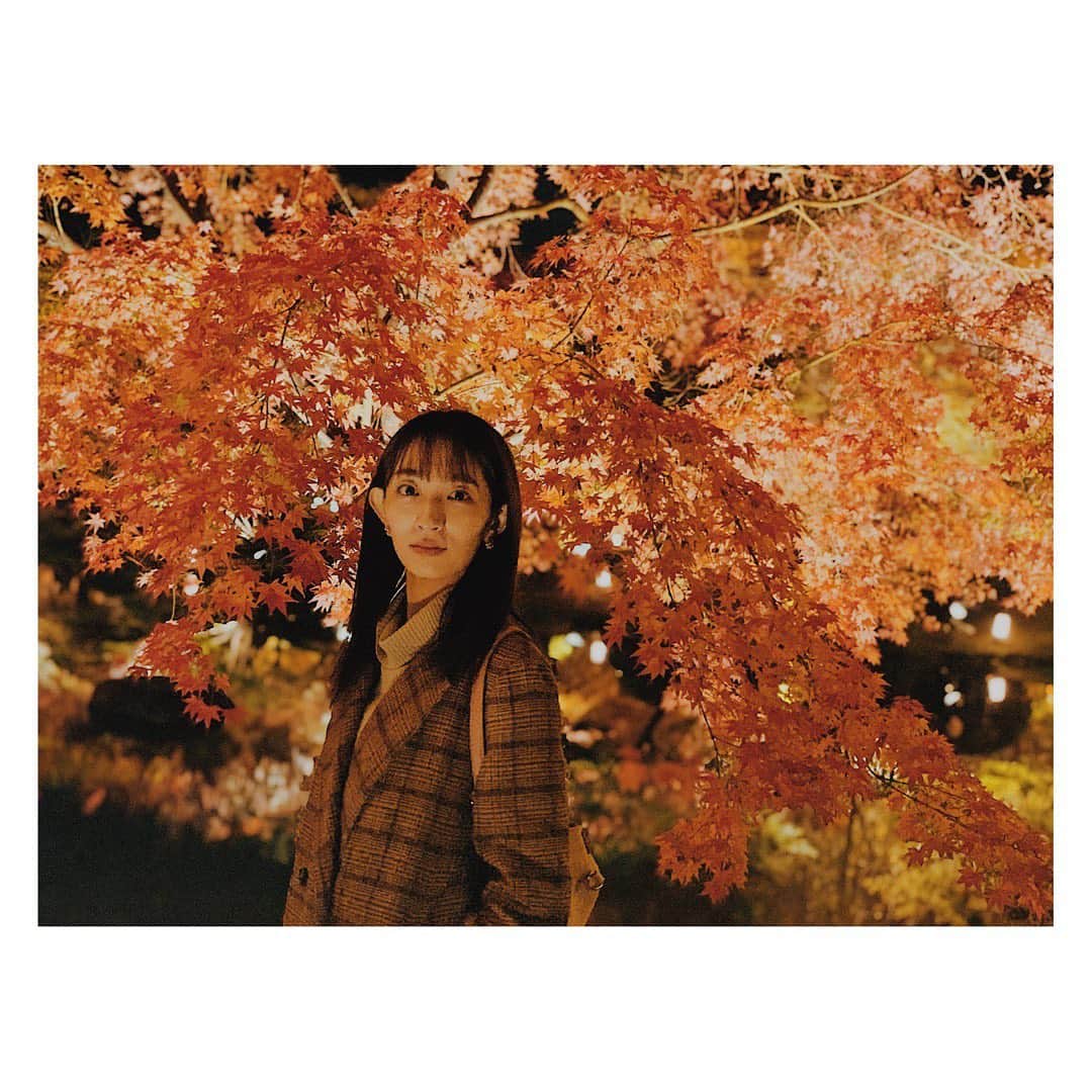 のインスタグラム：「しれーっと写真を京都に戻す。  #友達の写真のセンスがすごかったです #京都 #東寺 #紅葉 #もみじ #絶景 #美 #ライトアップ紅葉 #日本 #秋 #kyoto #tojitemple #autumnleaves #mapletree #beautifulview #lightup #temple #japan #japaneseautumn」