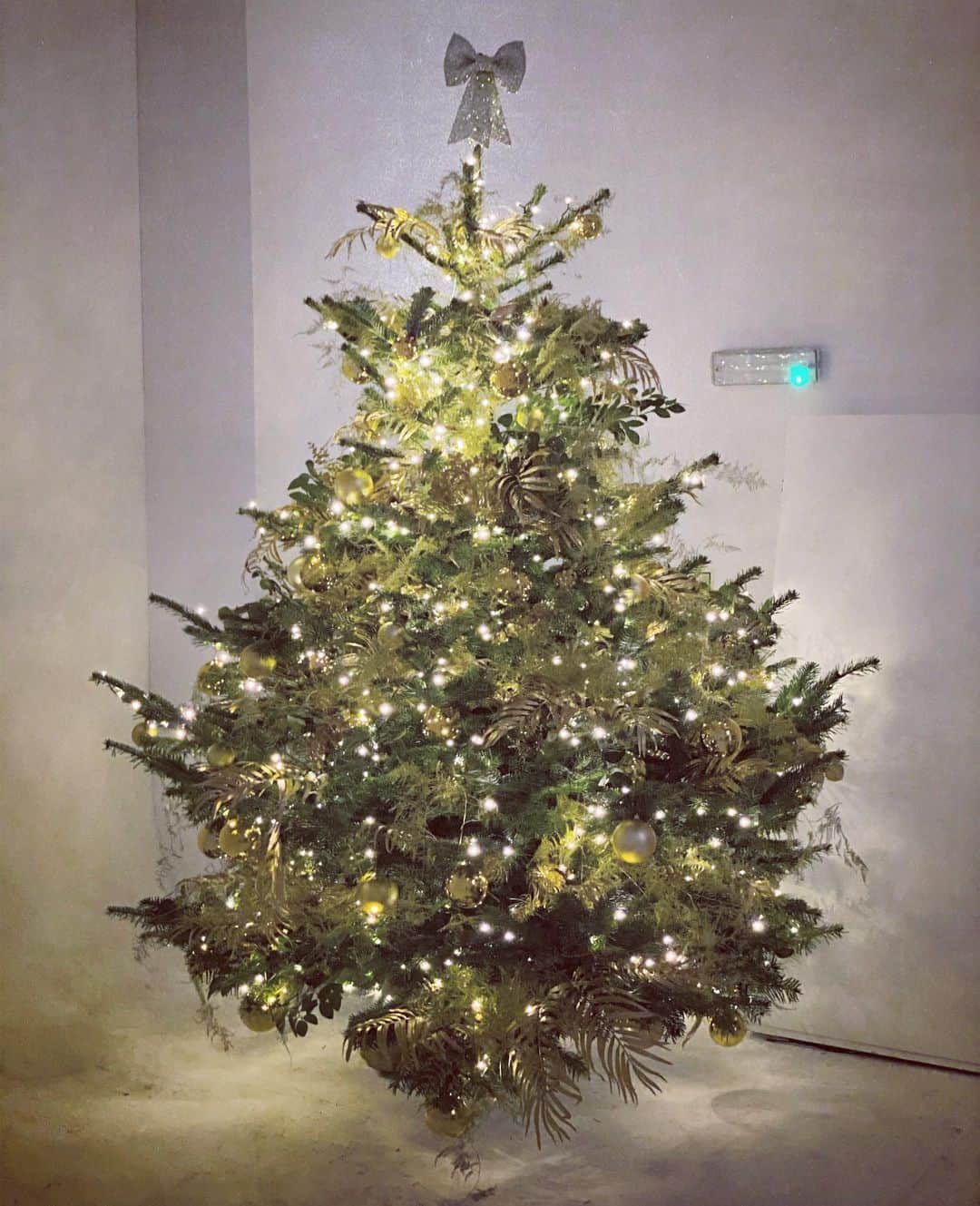 ニック・ナイトさんのインスタグラム写真 - (ニック・ナイトInstagram)「Thank you so much to the fantastic people @harrods for giving @showstudio such a beautiful Christmas tree ! X  And thank you to the team that put it up and decorated it so perfectly 🌟」11月29日 5時25分 - nick_knight