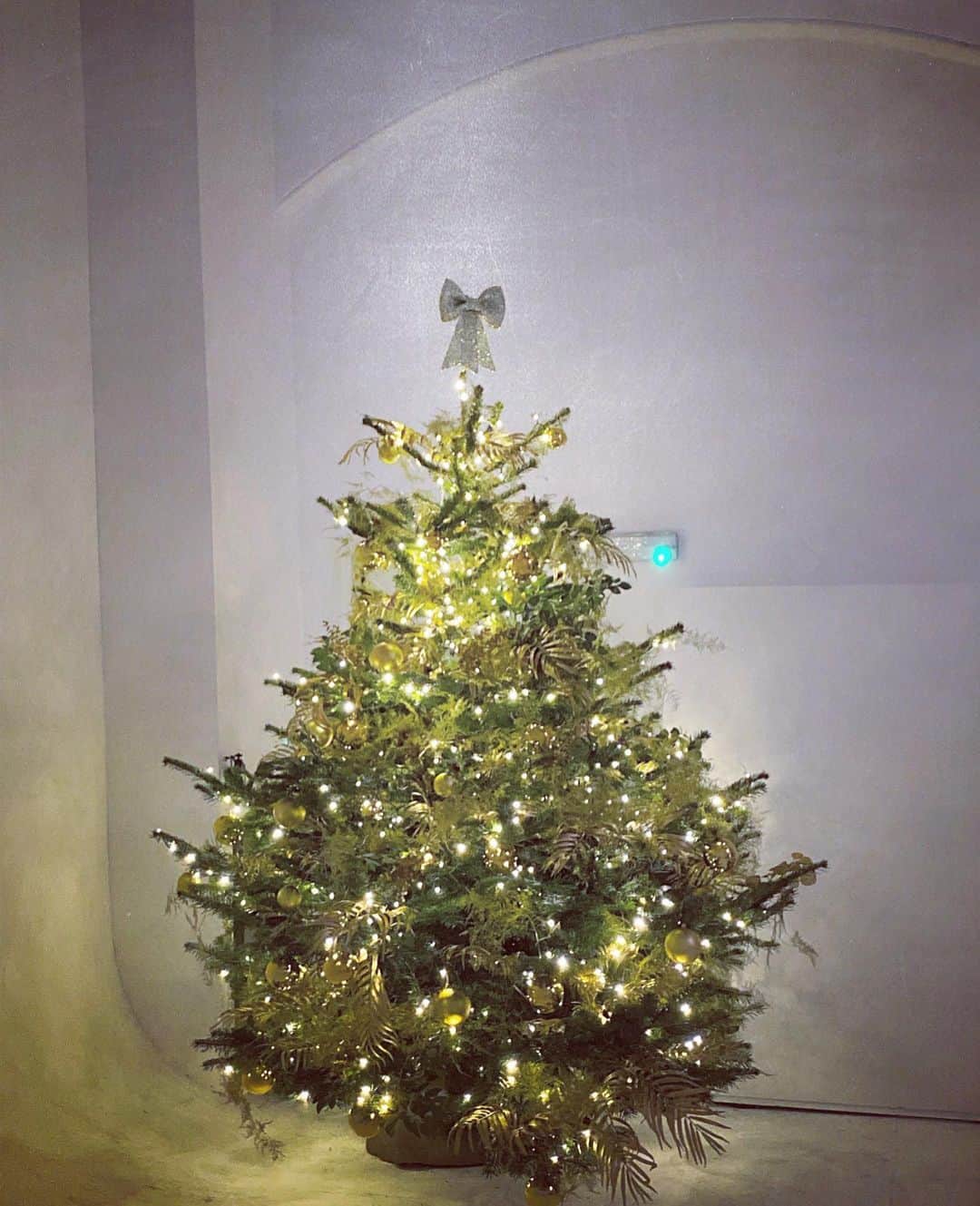 ニック・ナイトさんのインスタグラム写真 - (ニック・ナイトInstagram)「Thank you so much to the fantastic people @harrods for giving @showstudio such a beautiful Christmas tree ! X  And thank you to the team that put it up and decorated it so perfectly 🌟」11月29日 5時25分 - nick_knight