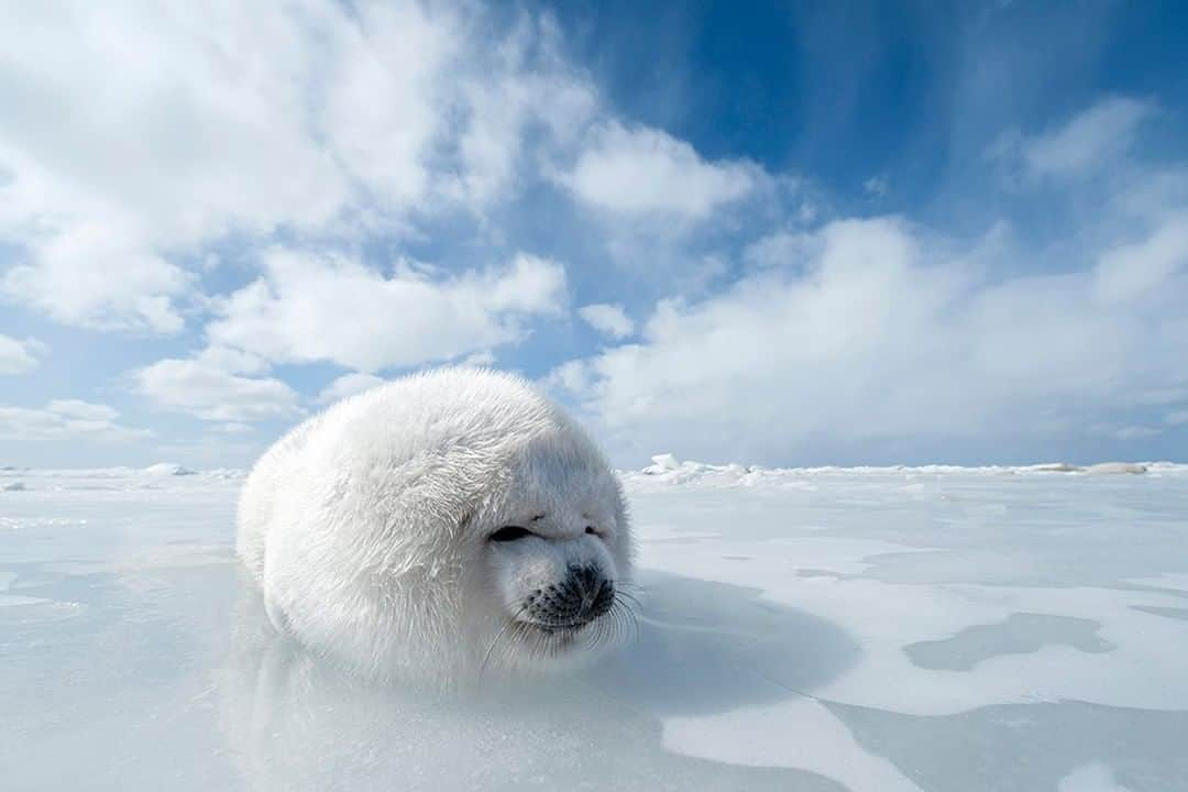 National Geographic Travelのインスタグラム