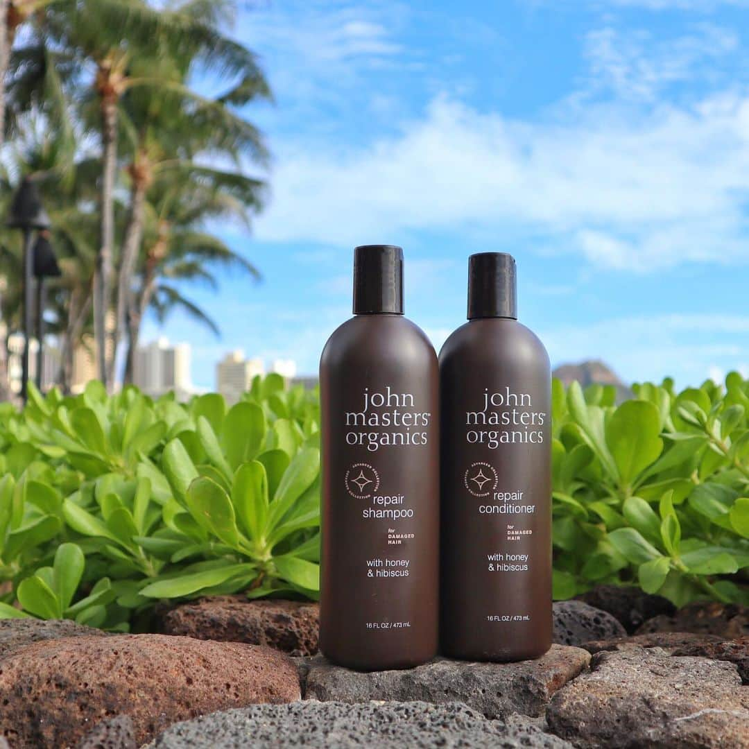 Belle Vie Hawaiiさんのインスタグラム写真 - (Belle Vie HawaiiInstagram)「John Masters Organics﻿ ハニー&ハイビスカスの﻿ リペアシャンプーとコンディショナー﻿ ﻿ 人気のジョンマスターから新しく﻿ 傷んだ髪を修復するリペアシャンプーと﻿ コンディショナーが登場しました❣️﻿ ﻿ はちみつとハイビスカスの﻿ オーガニックエッセンシャルエキスが﻿ 頭皮の汚れや角質をしっかり落としながら﻿ 乾燥を防ぎ、髪に潤いと栄養を与えてくれます💕﻿ ﻿ カラーやパーマなどでダメージを受けた髪を﻿ 元気にしてくれるのはもちろん、﻿ 毛根や頭皮を健康にして髪が痛むのを防いでくれる優れもの✌️﻿ ﻿ ココナッツ由来成分の働きで﻿ オーガニックなのに、なめらかな使い心地なのも嬉しい☺️﻿ ﻿ しかも日本で買うよりずっとお得❗️﻿ シャンプー、コンディショナーそれぞれ16oz $59 （税別）です。﻿ ※日本参考価格: シャンプー8,900円、コンディショナー13,900円﻿ ﻿ ぜひベルヴィーワイキキ店でゲットしてください💓﻿ ﻿ ﻿ 本日アメリカはThanksgiving Day（感謝祭）で祝日㊗️﻿ 銀行、郵便局はお休み、バスは休日ダイヤで運行中🚌﻿ アラモアナショッピングセンターなどはお休みなので﻿ ハワイ滞在中の方はご注意を！﻿ ﻿ ﻿ ﻿ ﻿ #belleviehawaii #hawaii﻿ #waikiki #waikikibeach﻿ #aloha #honolulu﻿ #johnmastersorganics﻿ #oahuhawaii #oahulife﻿ #hawaiilife #honoluluhawaii﻿ #ハワイ #ベルヴィー﻿ #ハワイ旅行 #ハワイ好き﻿ #ハワイ大好き #アロハ﻿ #ジョンマスター #ヘアケア﻿ #ハワイ土産 #ハワイ行きたい﻿ #ハワイのお土産 #ハワイアン﻿ #ワイキキ #ワイキキビーチ﻿ #ホノルル #ハワイ生活﻿ #ハワイ好きな人と繋がりたい」11月29日 7時25分 - belleviehawaii