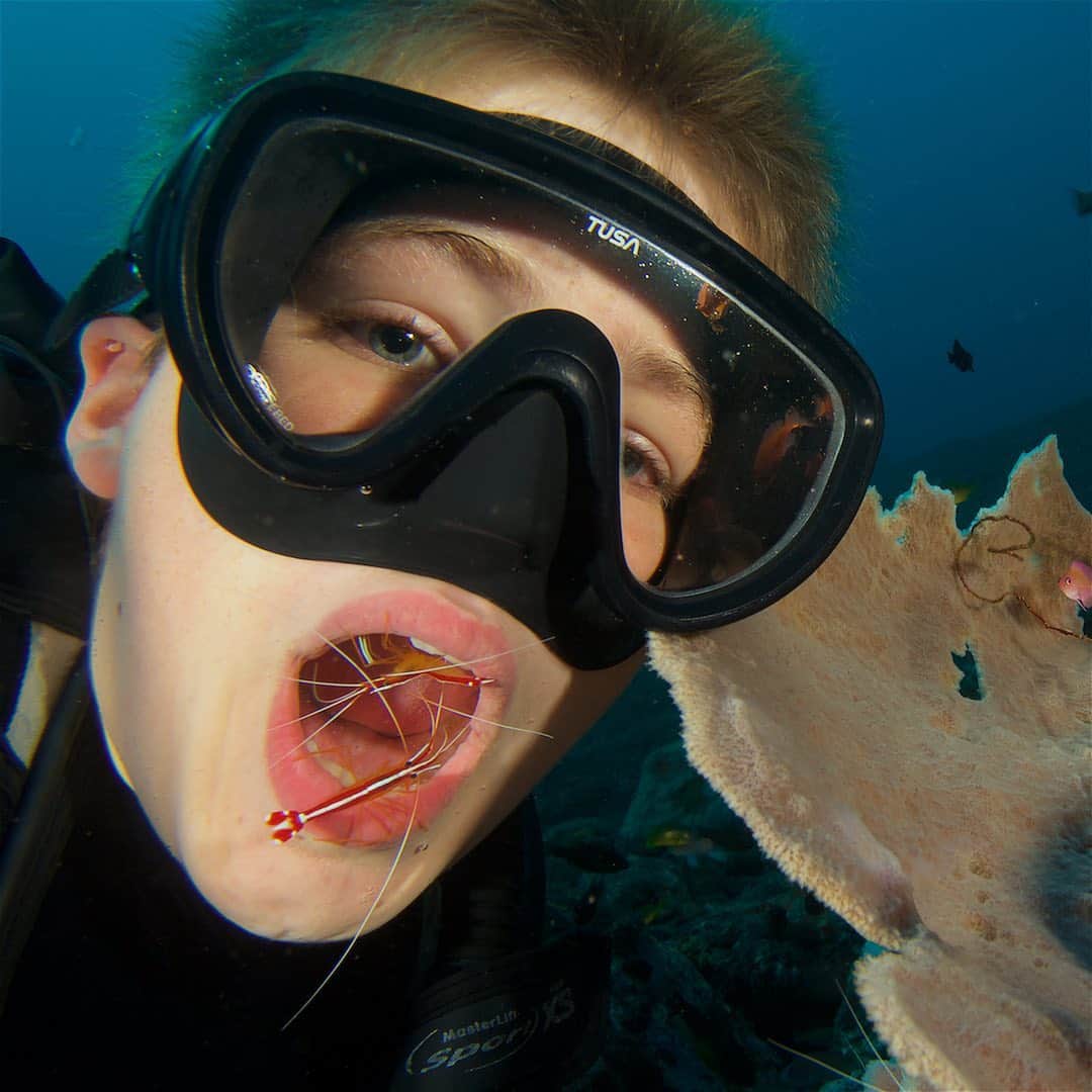 Tim Lamanさんのインスタグラム写真 - (Tim LamanInstagram)「Photo by @TimLaman.  Happy Thanksgiving!  Don’t forget your oral hygiene after all that eating!  If you have some cleaner shrimp handy, they will do the work for you like they did for my son here on a dive trip in Bali a while back.  The cleaner shrimp normally service fish like the grouper in shot 2 who appreciate the cleaning and don’t eat the shrimp.  Russell discovered they happily jumped in his mouth as well.  Swipe for more views, and check back to see the video which I’ll post shortly.  Model = marine science student @RussLaman. #ShrimpDentist #CleanerShrimp #Underwater #scubadiving #Bali P.S.  My fine art prints are sale at www.timlamanfineart.com for a few more days.」11月29日 8時20分 - timlaman