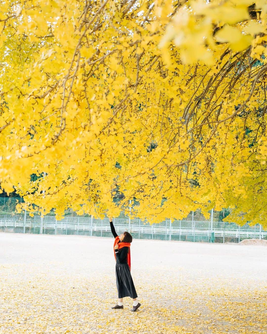 sorayuchiのインスタグラム：「・ マフラーぐるぐる巻き女子🧣可愛い(*´꒳`*) 金曜日頑張りましょう🍺」
