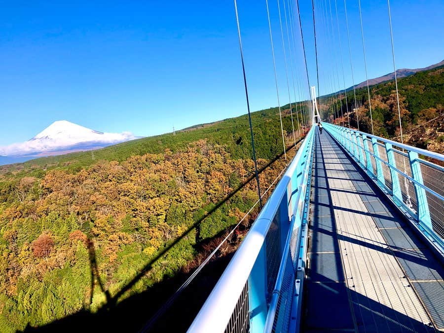 三島スカイウォーク／公式さんのインスタグラム写真 - (三島スカイウォーク／公式Instagram)「おはようございます😃 . 真っ白な富士山が朝から見えています🗻✨ . ①の写真は吊橋の左側に影でもう1本吊橋がかかってるように見えませんか？☺️💗 . 綺麗に撮ることができたのでシェアします🥰💕 . 街並みも綺麗に見えています😌❗️ .  #三島スカイウォーク #スカイウォーク #静岡 #箱根 #伊豆 #三島 #観光 #吊橋 #吊り橋 #日本一 #富士山  #空をあるこう森であそぼう #もみじ #紅葉 #秋 #快晴 #雪 #雪化粧 #mishimaskywalk #skywalk #japan #MountFuji #shizuoka #travel #trip #fun #instagood #nature #beautiful #followme」11月29日 8時54分 - mishima_skywalk