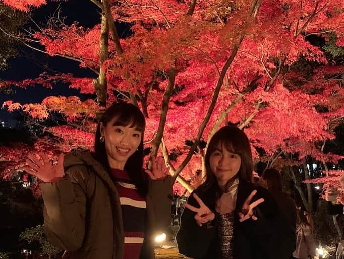 藤田舞美さんのインスタグラム写真 - (藤田舞美Instagram)「❁︎ 縮景園のライトアップされたもみじ🍁 庭園の雰囲気も含め、とっても素敵でした💕 * #縮景園 #縮景園もみじまつり #縮景園紅葉 #広島紅葉 #広島 #紅葉ライトアップ #紅葉2019 #紅葉スポット #紅葉狩り #autumnleaves #fallleaves #instajapan」11月29日 9時59分 - maimifujita