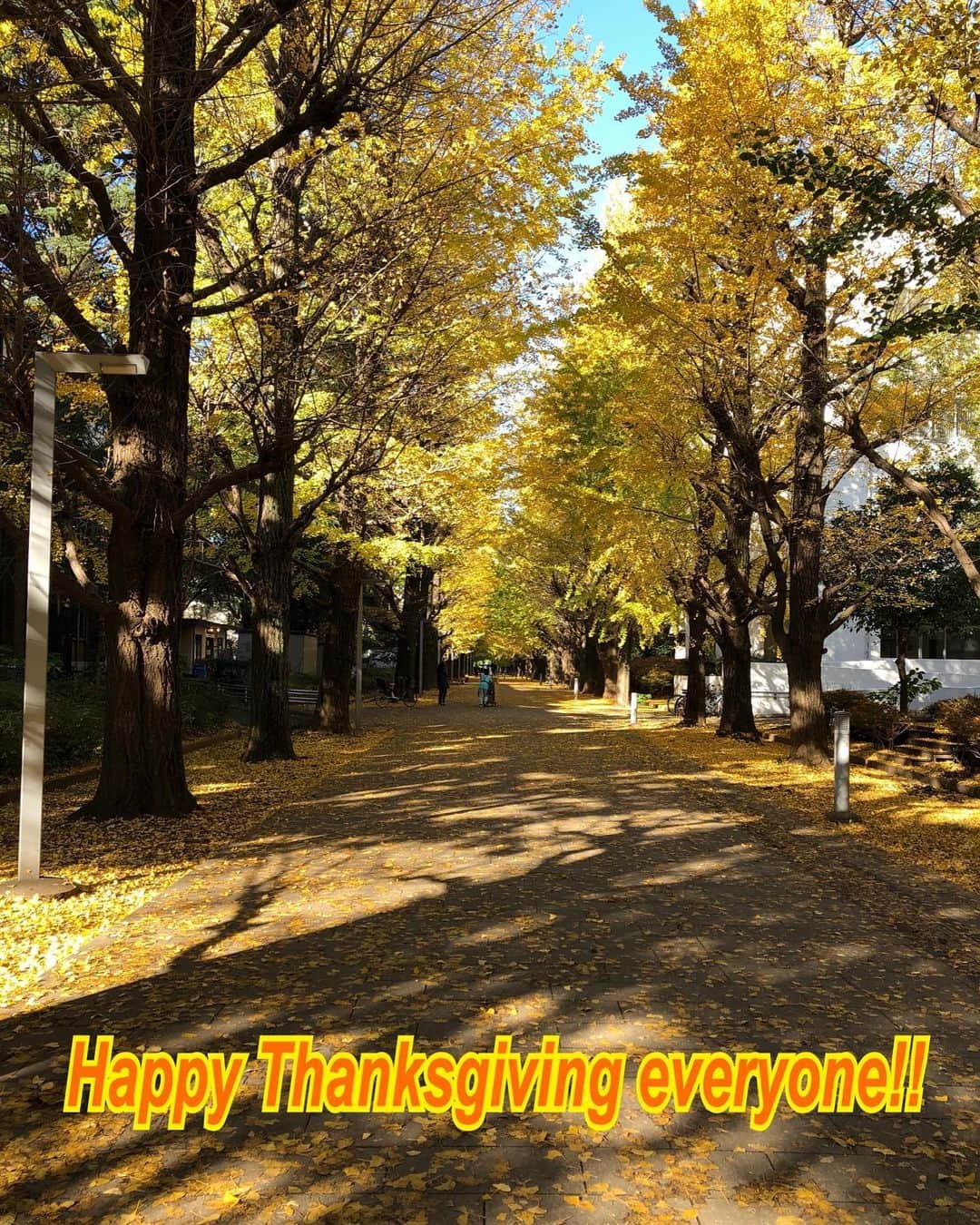 菊田俊介さんのインスタグラム写真 - (菊田俊介Instagram)「#thanksgiving #blessings #love #happiness #life」11月29日 10時06分 - shun.kikuta