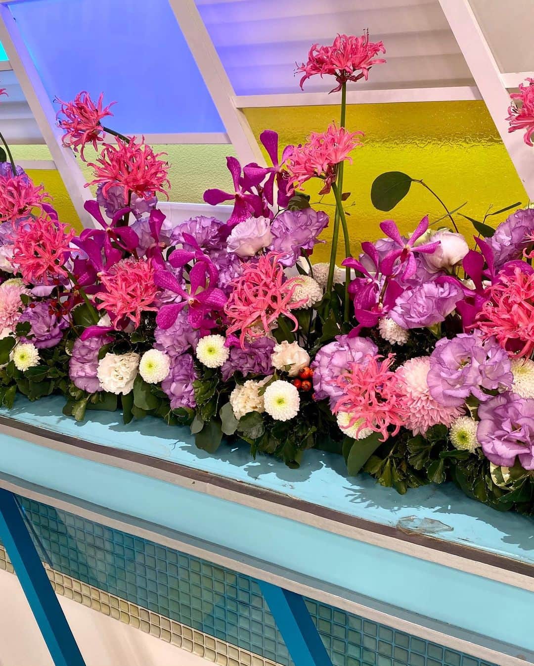 福岡放送「バリはやッ!」さんのインスタグラム写真 - (福岡放送「バリはやッ!」Instagram)「"まゆみの枝の実が艶やかで可愛い季節です。鮮やかなピンク色の花々が番組を華やかに彩れますように制作しました"  by THE  MANGROVE #takeshithemangrove  #まゆみ　#バンダ　#トルコキキョウ　#ピンポンマム　#モカラ　#ユーカリポポラス　#ネリネ　#野ばらの実　#野バラの実」11月29日 11時06分 - barihaya