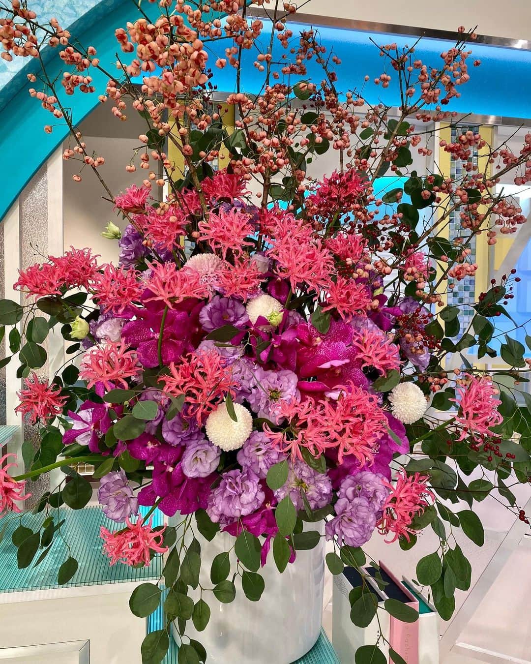 福岡放送「バリはやッ!」さんのインスタグラム写真 - (福岡放送「バリはやッ!」Instagram)「"まゆみの枝の実が艶やかで可愛い季節です。鮮やかなピンク色の花々が番組を華やかに彩れますように制作しました"  by THE  MANGROVE #takeshithemangrove  #まゆみ　#バンダ　#トルコキキョウ　#ピンポンマム　#モカラ　#ユーカリポポラス　#ネリネ　#野ばらの実　#野バラの実」11月29日 11時06分 - barihaya