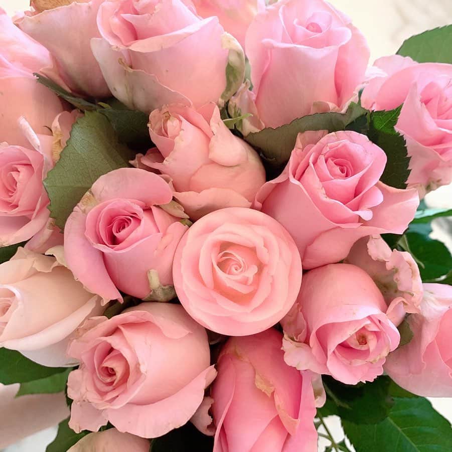 神田うのさんのインスタグラム写真 - (神田うのInstagram)「POPSOCKETSどーこだ☺️❓ 色々な種類があるけれど私はこれが気に入りました❤️ とても便利ですよね🤗 キラキラ✨は新作ですよ🤩 @popsockets  @popsockets_jp_official  #popsockets#ポップソケット#ポップソケッツ#pinkrose#pinkroses#pink#rose#roses#ピンクローズ#ピンク#薔薇#ピンクの薔薇」11月29日 11時29分 - unokandaofficial