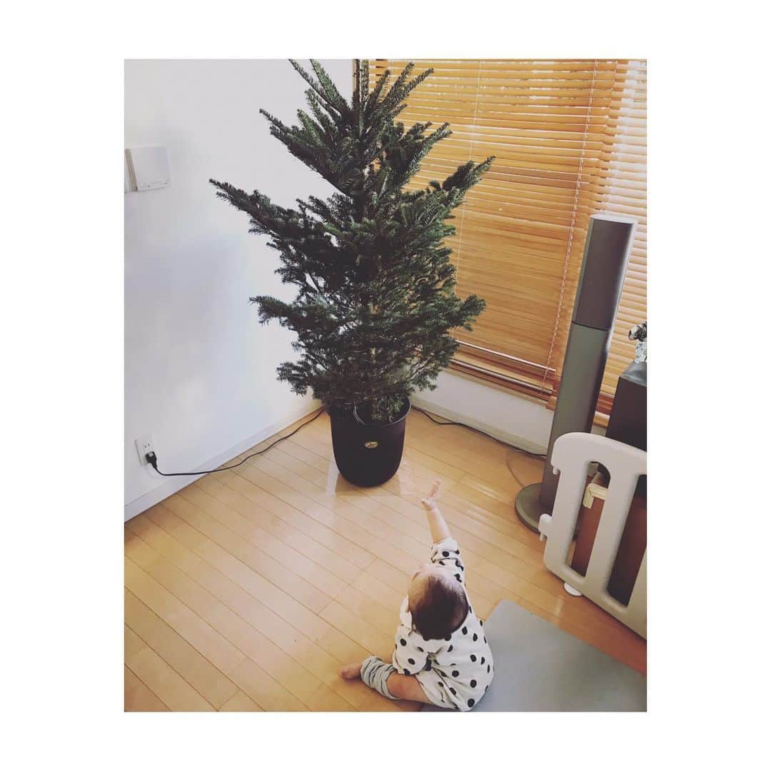 美保なな実さんのインスタグラム写真 - (美保なな実Instagram)「今年もサンタ🎅🏼さんからのプレゼント届きました〜🌲 . 早速娘も気に入った様子💚 . . 今までは飾り付けもお願いしてたけど、今年からは娘と飾り付けしたくて🌟 しかも、毎年少しずつオーナメントも娘と選んで増やしたいなぁ🎄 . ってちょっとした夢〜✨ . . 毎年の楽しみになるといいなぁ🥳 . . 枝も開いた夕方頃飾り付けしよ〜🎄🎄🎄 . . #xmas#xmastree」11月29日 11時40分 - nanami_mmm