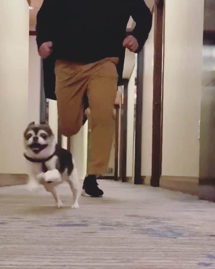 ヒラリー・ローダのインスタグラム：「when they say thanksgiving dinner is ready 😛 #happythanksgiving」