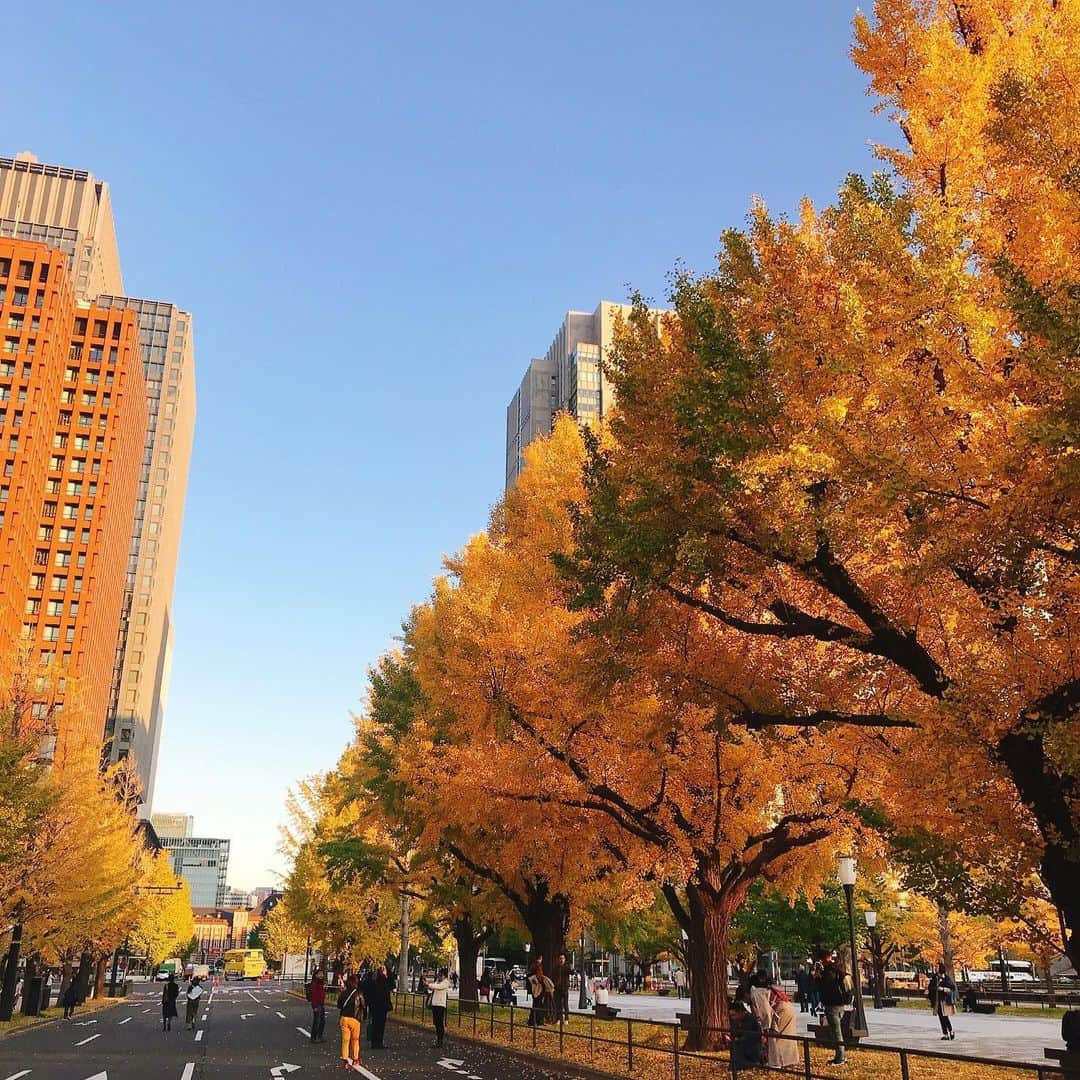 Palace Hotel Tokyo / パレスホテル東京のインスタグラム