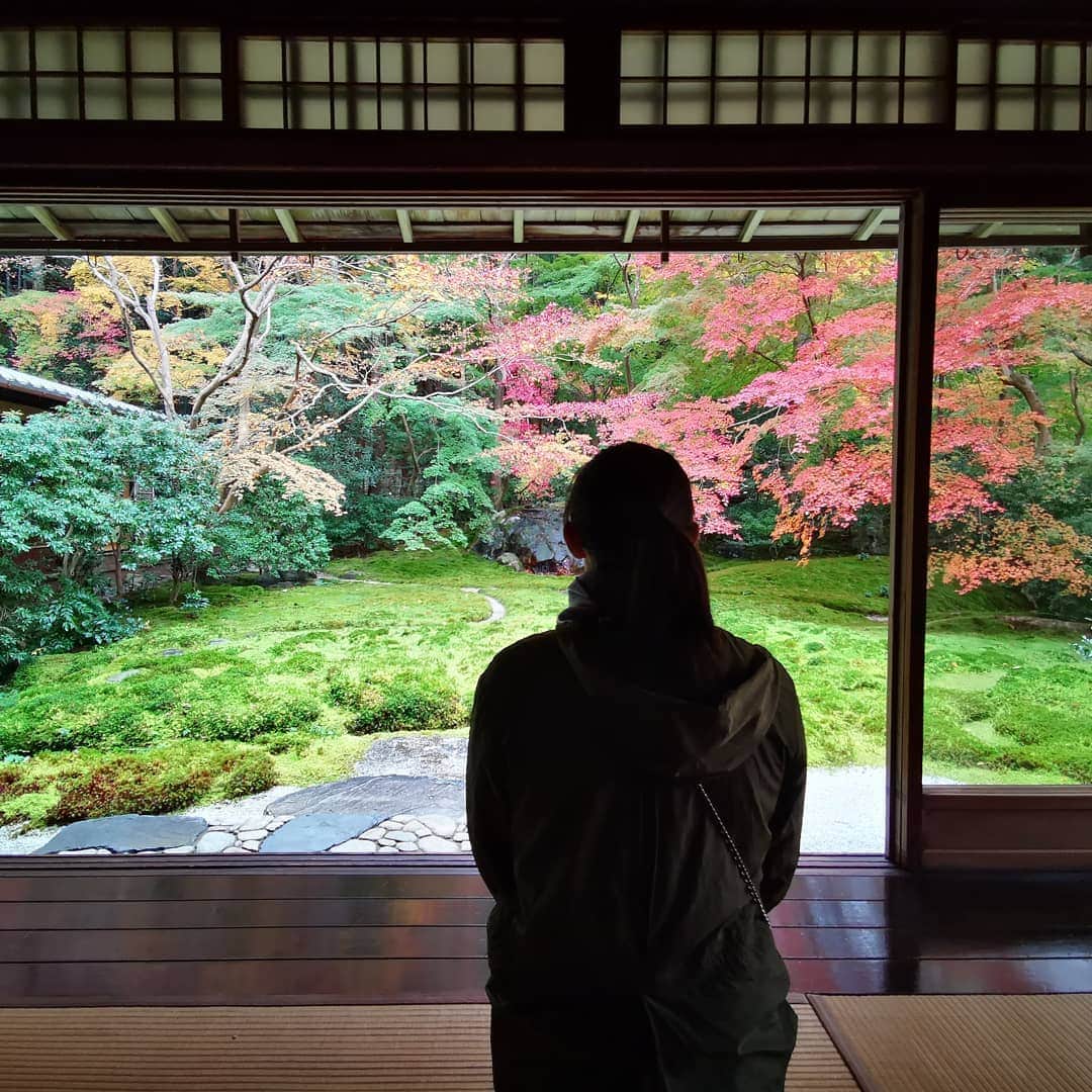 ジェン・サイサイさんのインスタグラム写真 - (ジェン・サイサイInstagram)「Kyoto 你太美了❤️」11月29日 23時34分 - zheng_saisai