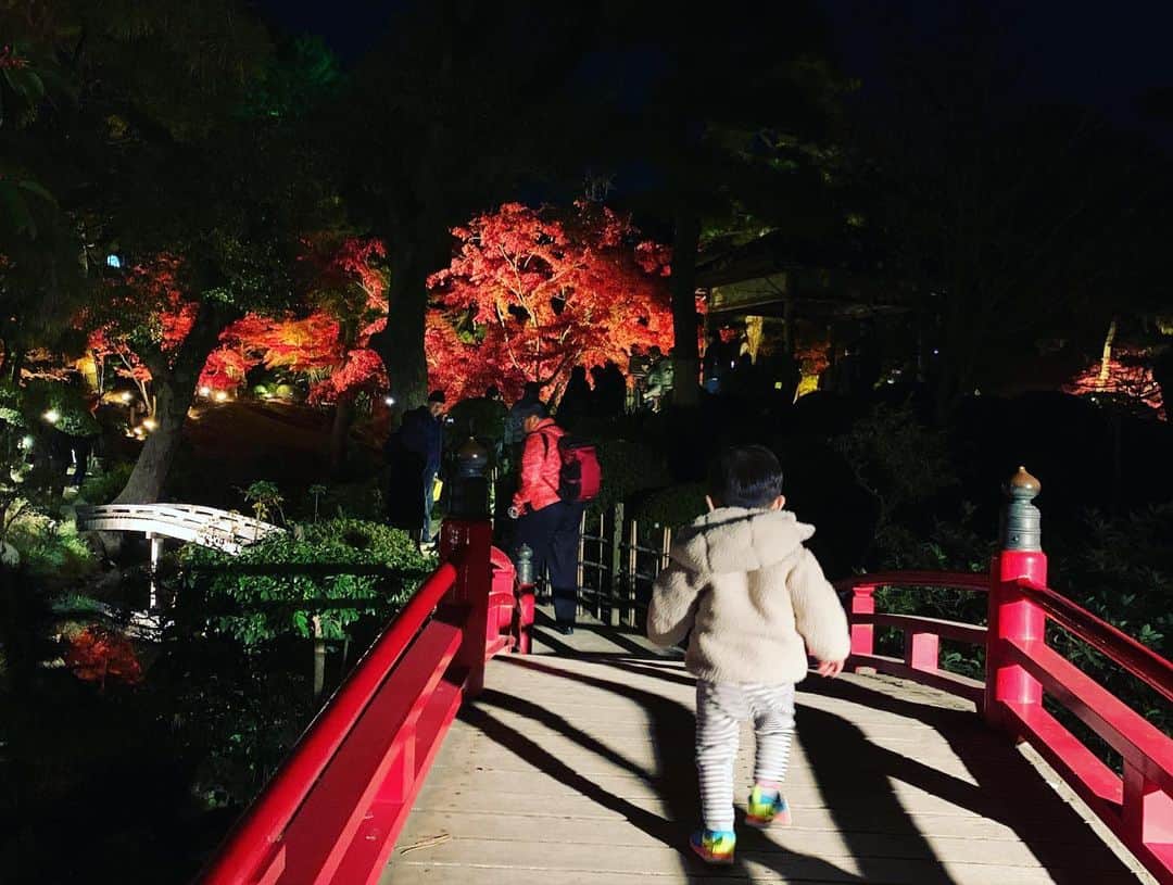 谷口大智さんのインスタグラム写真 - (谷口大智Instagram)「良い紅葉でした🍁  もし行く人がいるなら…ベビーカーはやめましょう😂  #dtのオフ」11月29日 21時59分 - daichi0055
