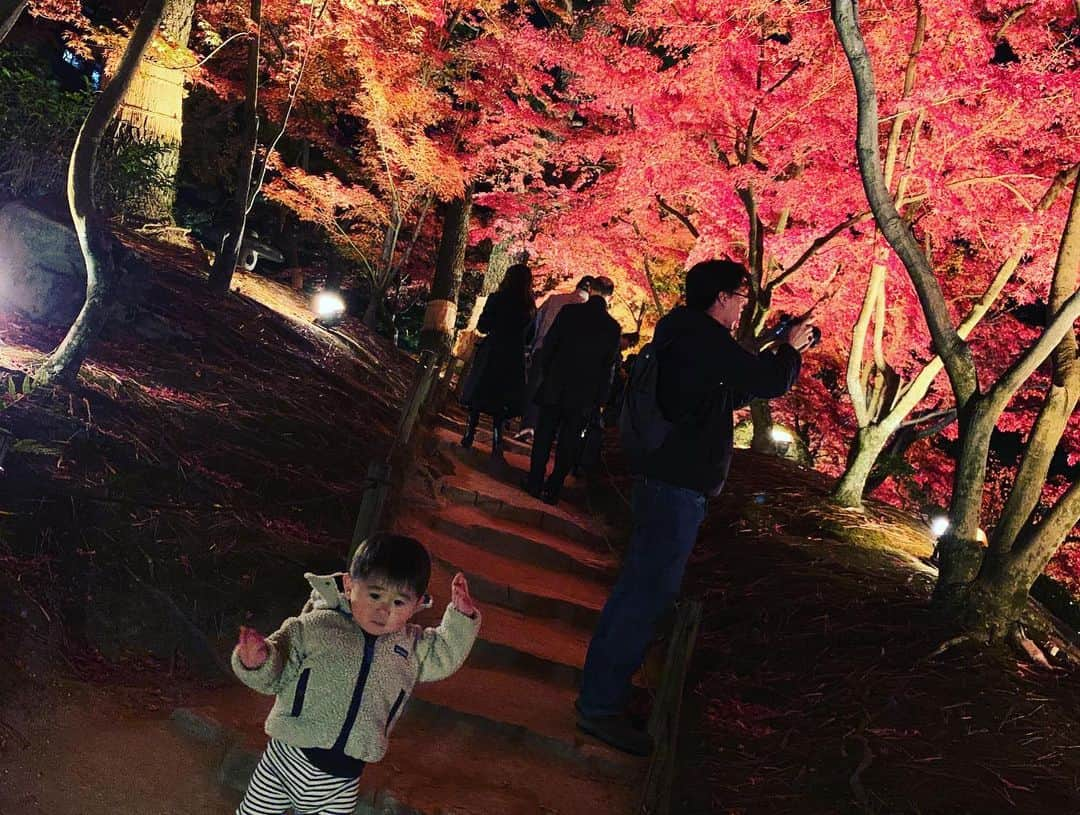 谷口大智さんのインスタグラム写真 - (谷口大智Instagram)「良い紅葉でした🍁  もし行く人がいるなら…ベビーカーはやめましょう😂  #dtのオフ」11月29日 21時59分 - daichi0055