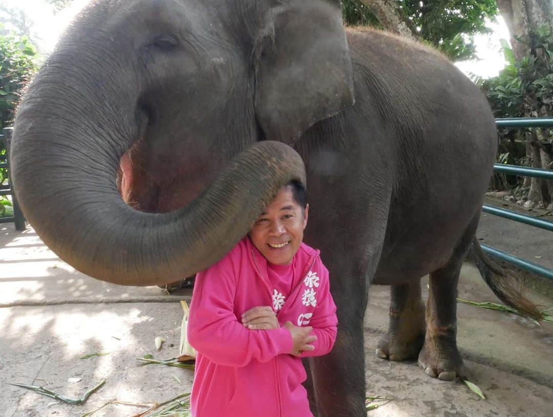 東野幸治さんのインスタグラム写真 - (東野幸治Instagram)「バリ島で象と戯れております。」11月29日 22時13分 - higashinodesu