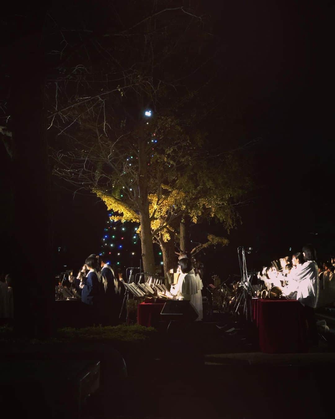 松丸友紀さんのインスタグラム写真 - (松丸友紀Instagram)「今日は母校、青山学院のクリスマスツリー点火祭でした。 澄んだ夜空にあかりが灯されると、まるでツリーが浮かび上がっているようで、それはそれはとても美しく、心までぽっと温かくなります。 そしてハンドベルの音色や賛美歌の歌声がとても神聖な気持ちにさせてくれます。 今年はどうしても家族でこの瞬間に立ち会いたく叶うことができました✨🥺 世界中のすべての人が素敵なクリスマスを迎えられますように。 #青山学院 #クリスマスツリー点火祭 #クリスマス #クリスマスツリー」11月29日 22時29分 - yuki_matsumaru