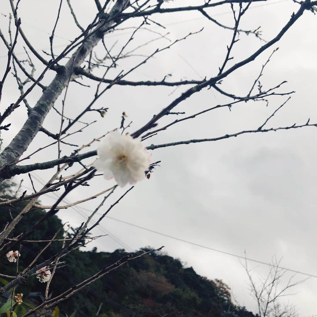 川本睦子のインスタグラム