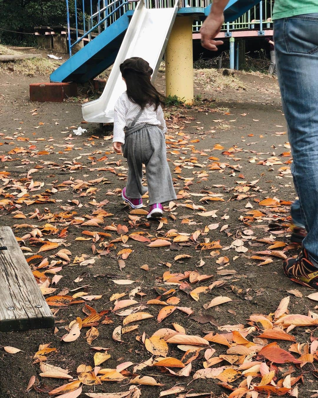 大橋菜央さんのインスタグラム写真 - (大橋菜央Instagram)「Papa-daughter time👱🏼‍♂️🧒🏻 . . . 雨水を受ける雨樋が気になって仕方がないMiaと ▶︎▶︎▶︎パパと公園遊び🙌🎶 立派な滑り台があるけど怖いらしく 階段を上り下りするだけ😂 . ズボンの丈も肩紐も なぜか自然にアシンメトリーになってしまう Miaの七不思議🤔 . . #菅刈公園 #復元庭園 #こどものいる暮らし#1歳9ヶ月 #生後21ヶ月 #たれ眉 #たれ目 #miababyliving #naoliving_tokyo #miababyliving_hair」11月29日 23時19分 - naoliving