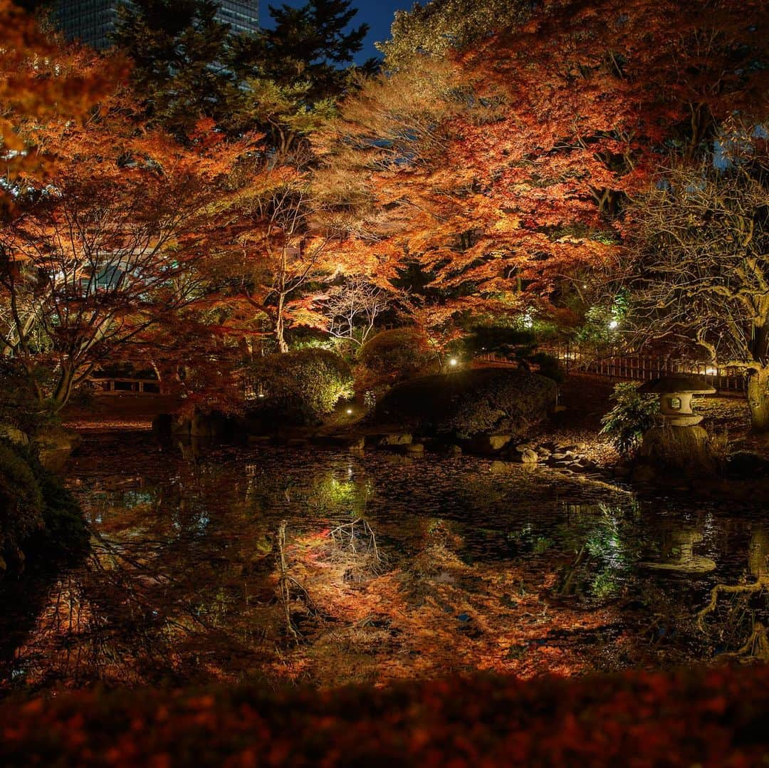 東京都庭園美術館さんのインスタグラム写真 - (東京都庭園美術館Instagram)「【本日・明日夜間開館日】 11/29（金）と11/30（土）は20時まで開館します（入館は19時半まで）。 条件があえば、幻想的な水鏡の紅葉が楽しめるかも知れません。庭園のライトアップと一緒に展覧会もどうぞお楽しみください。 ※写真は2年前に撮影したものです。 #アジアのイメージ展 #東京都庭園美術館 #東京 #日本美術 #夜間開館 #紅葉 #tokyometropolitanteienartmuseum #teienartmuseum #tokyo #Japaneseart #nightmuseum #garden #TokyoTokyoFESTIVAL」11月29日 14時28分 - teienartmuseum