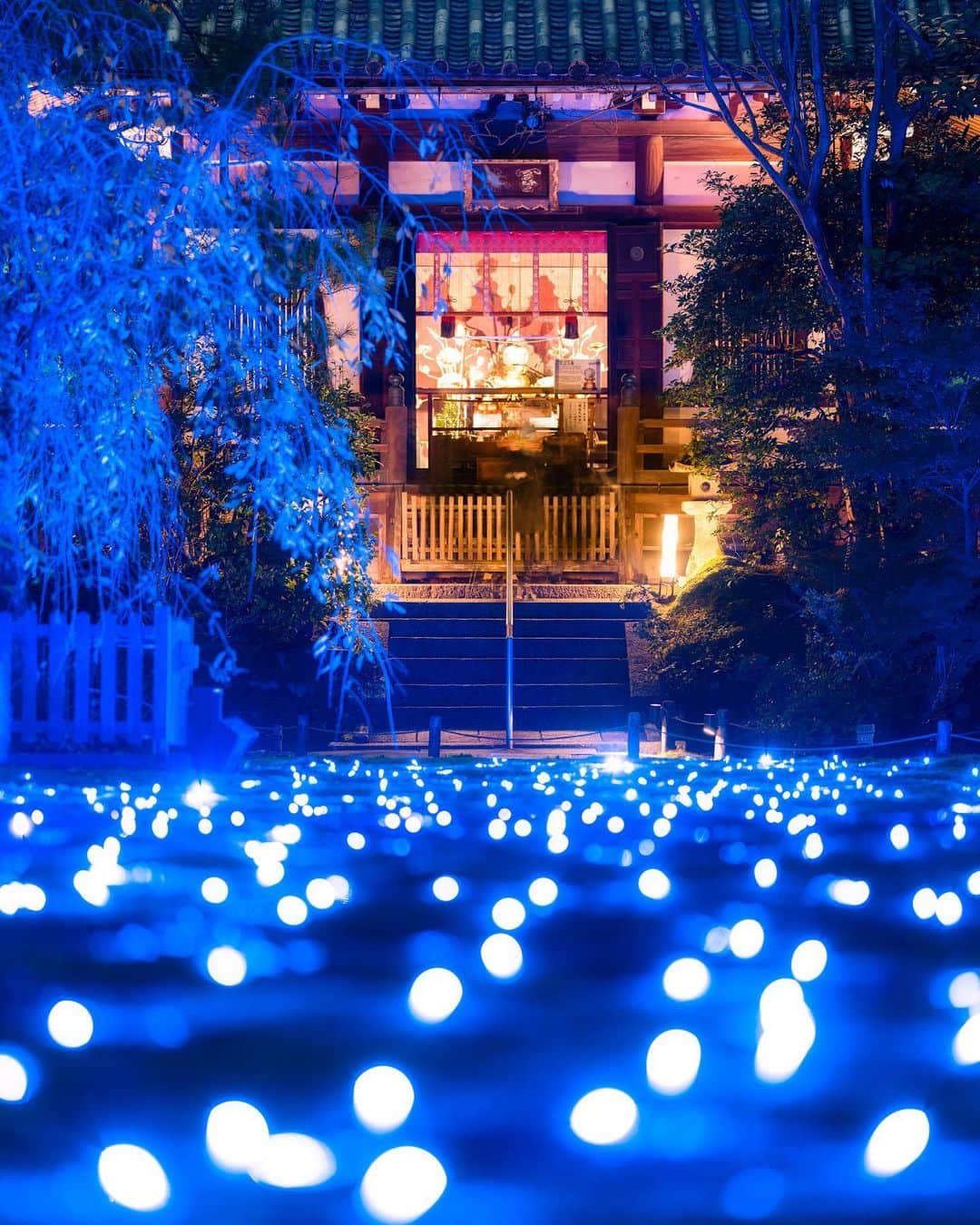 関西電力株式会社のグルメインスタ