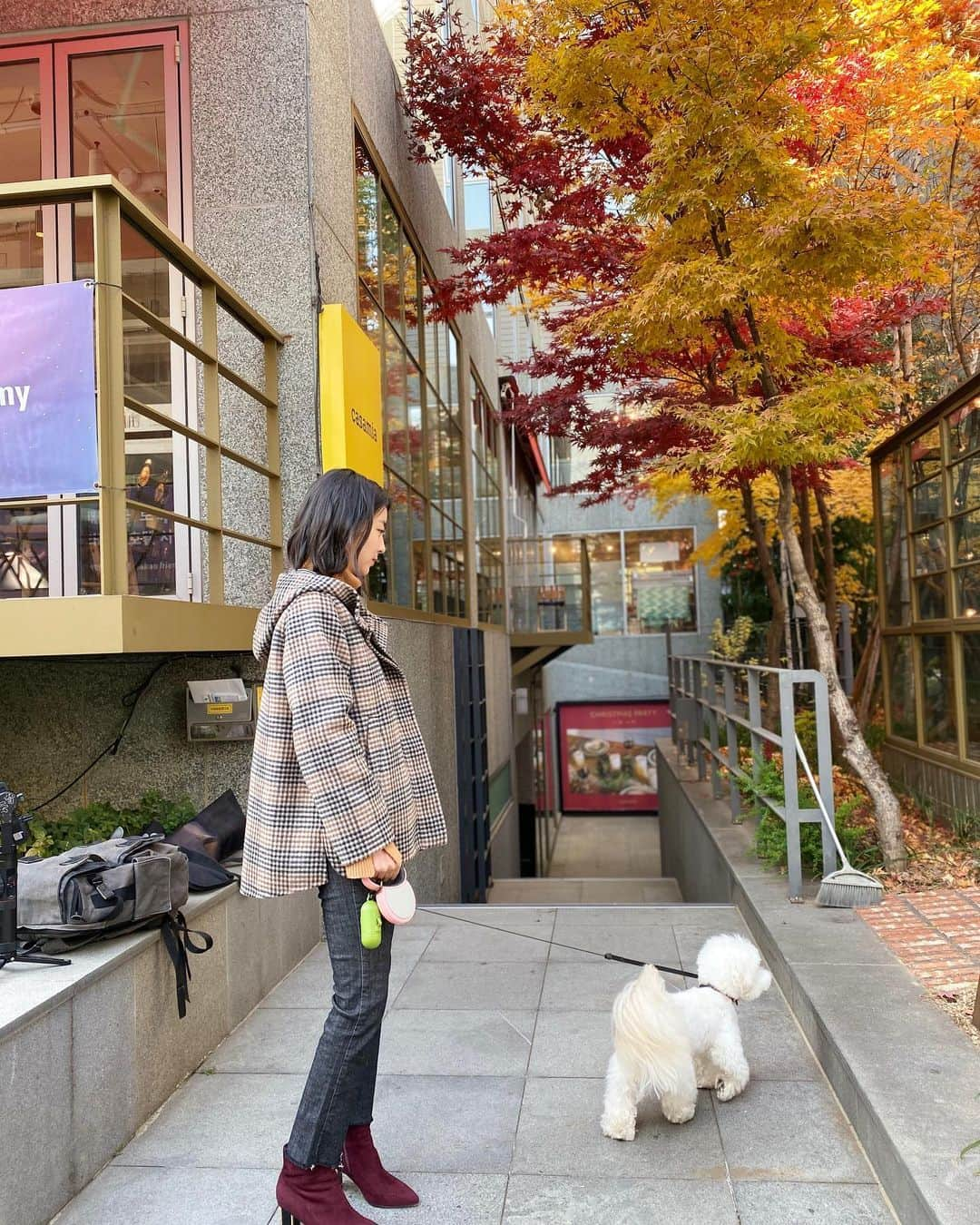 ソヒョン さんのインスタグラム写真 - (ソヒョン Instagram)「가을 가을 🍂 🍁 .」11月29日 15時10分 - kkwonsso_94