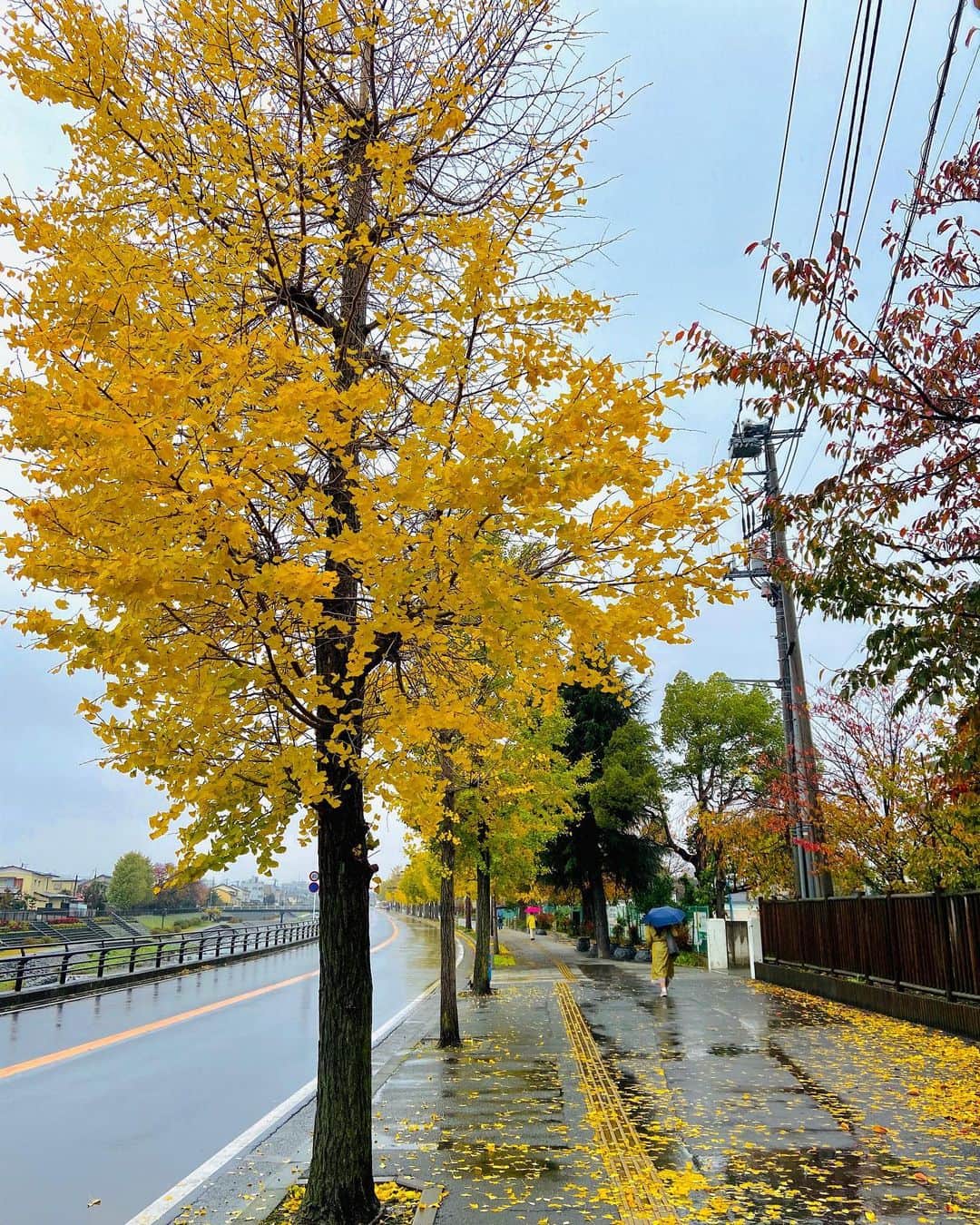 立石純子のグルメインスタ