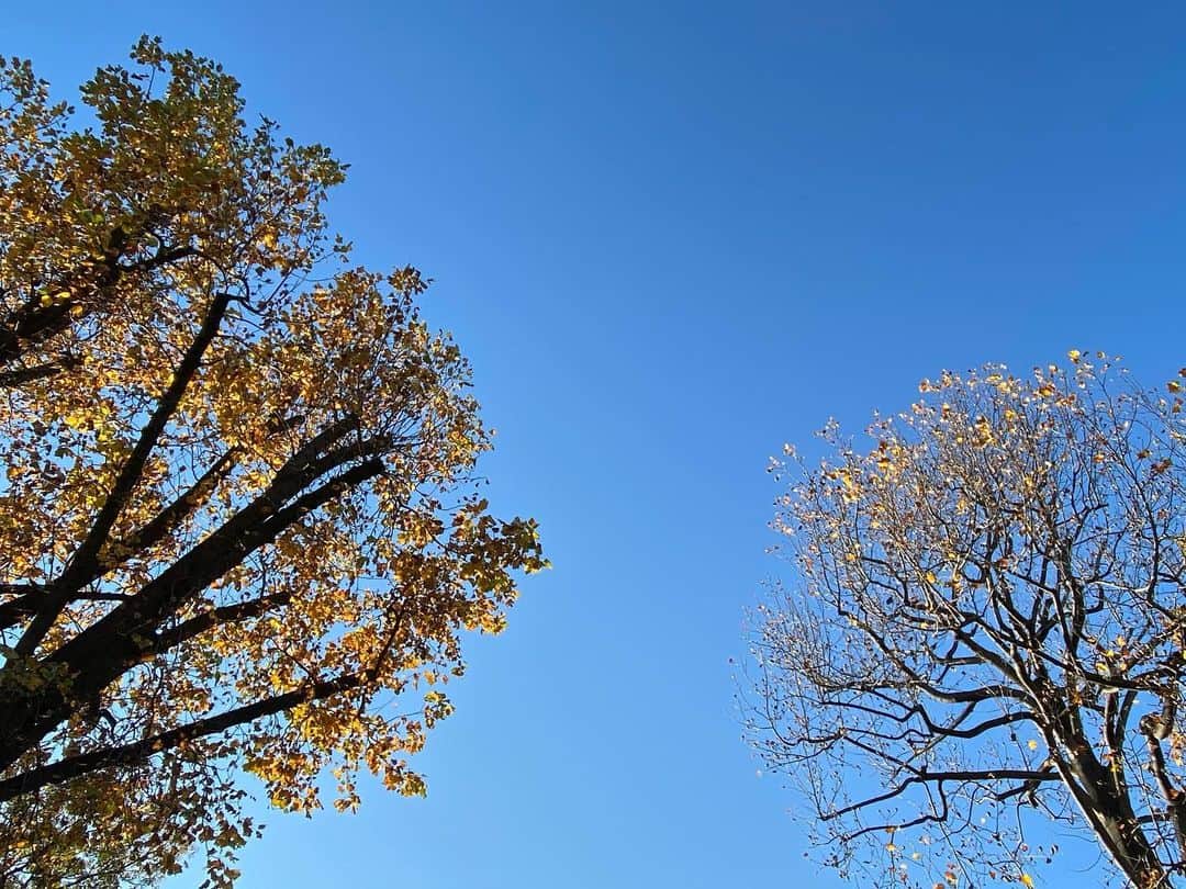 秋本祐希さんのインスタグラム写真 - (秋本祐希Instagram)「beautiful sky❤︎ #sky #bluesky #beautiful」11月29日 15時36分 - ayuuki0908